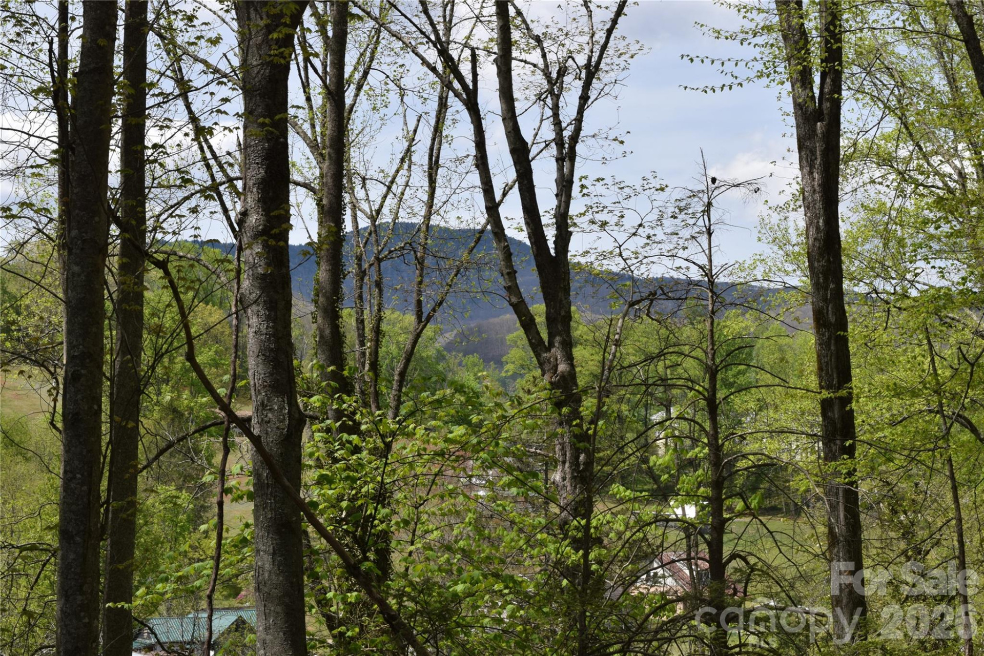 TBD Cabin Flats Road - Photo 17