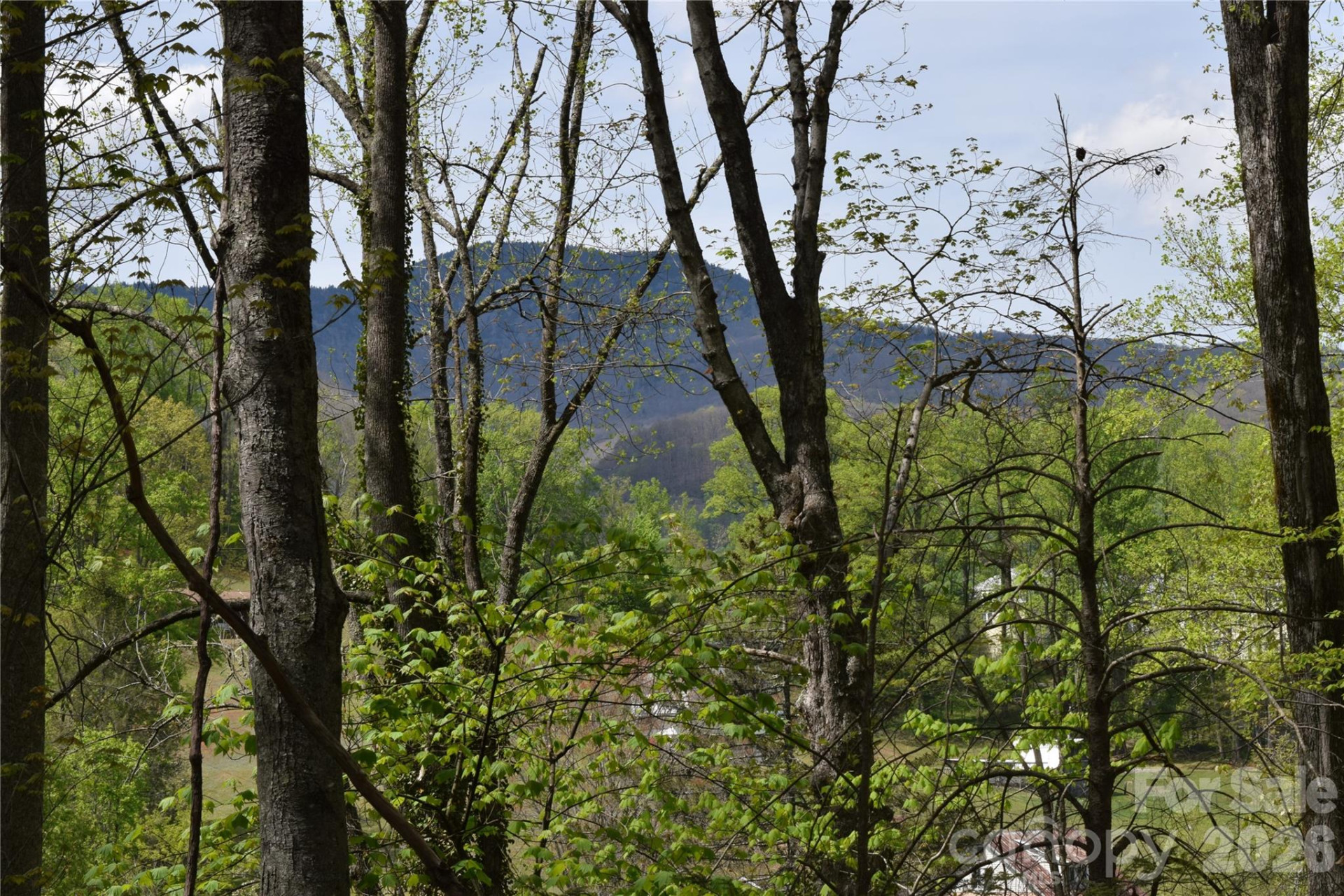 TBD Cabin Flats Road - Photo 18