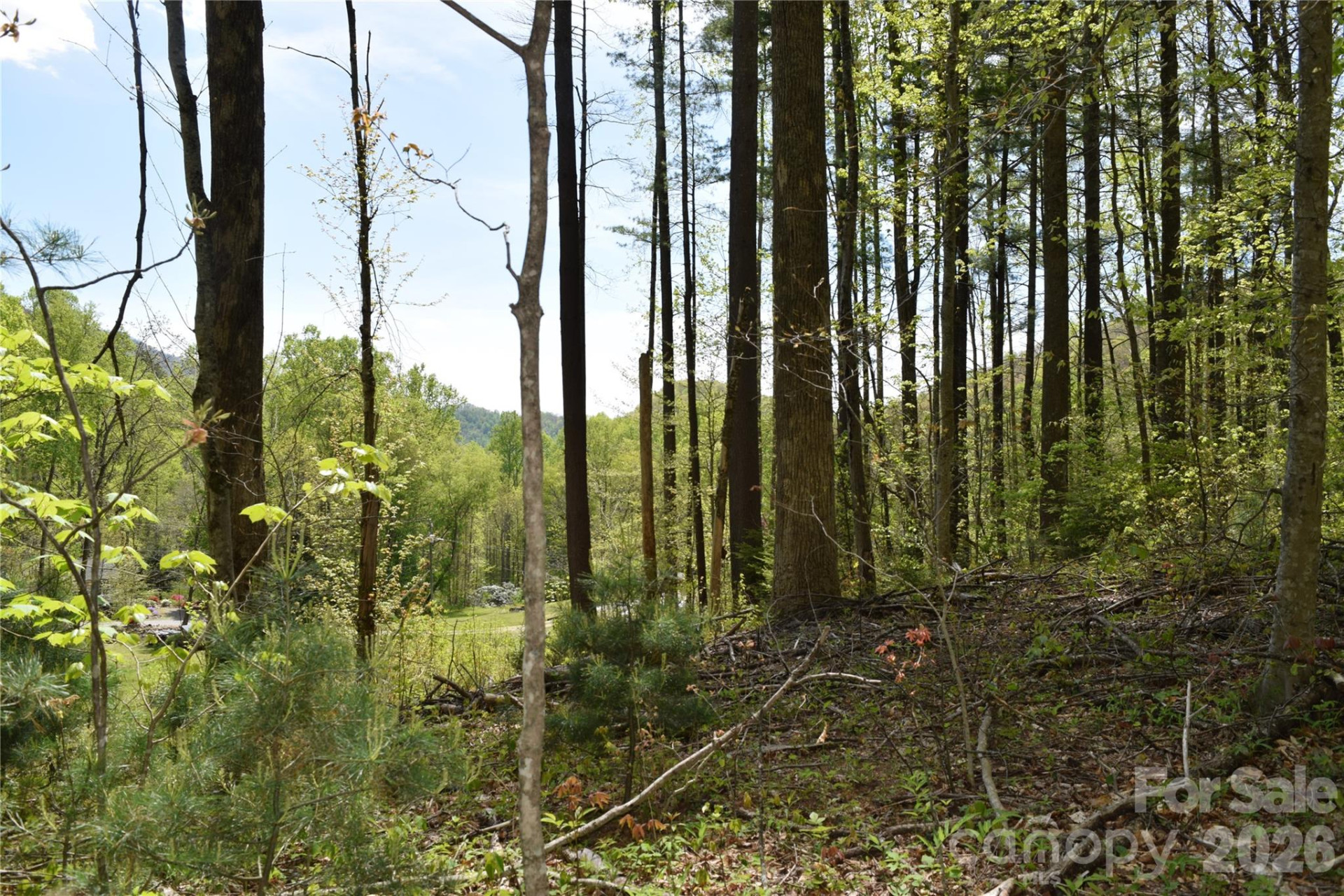 TBD Cabin Flats Road - Photo 8