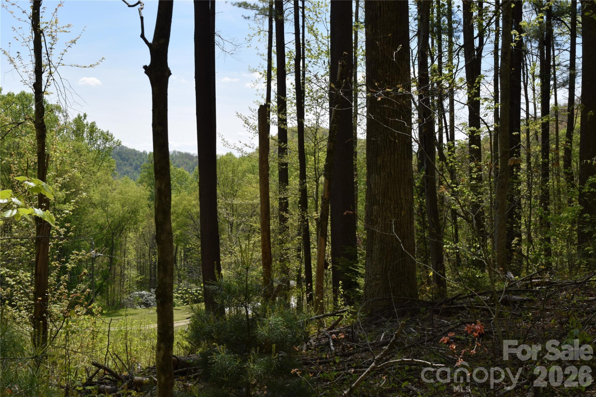 TBD Cabin Flats Road - Photo 9