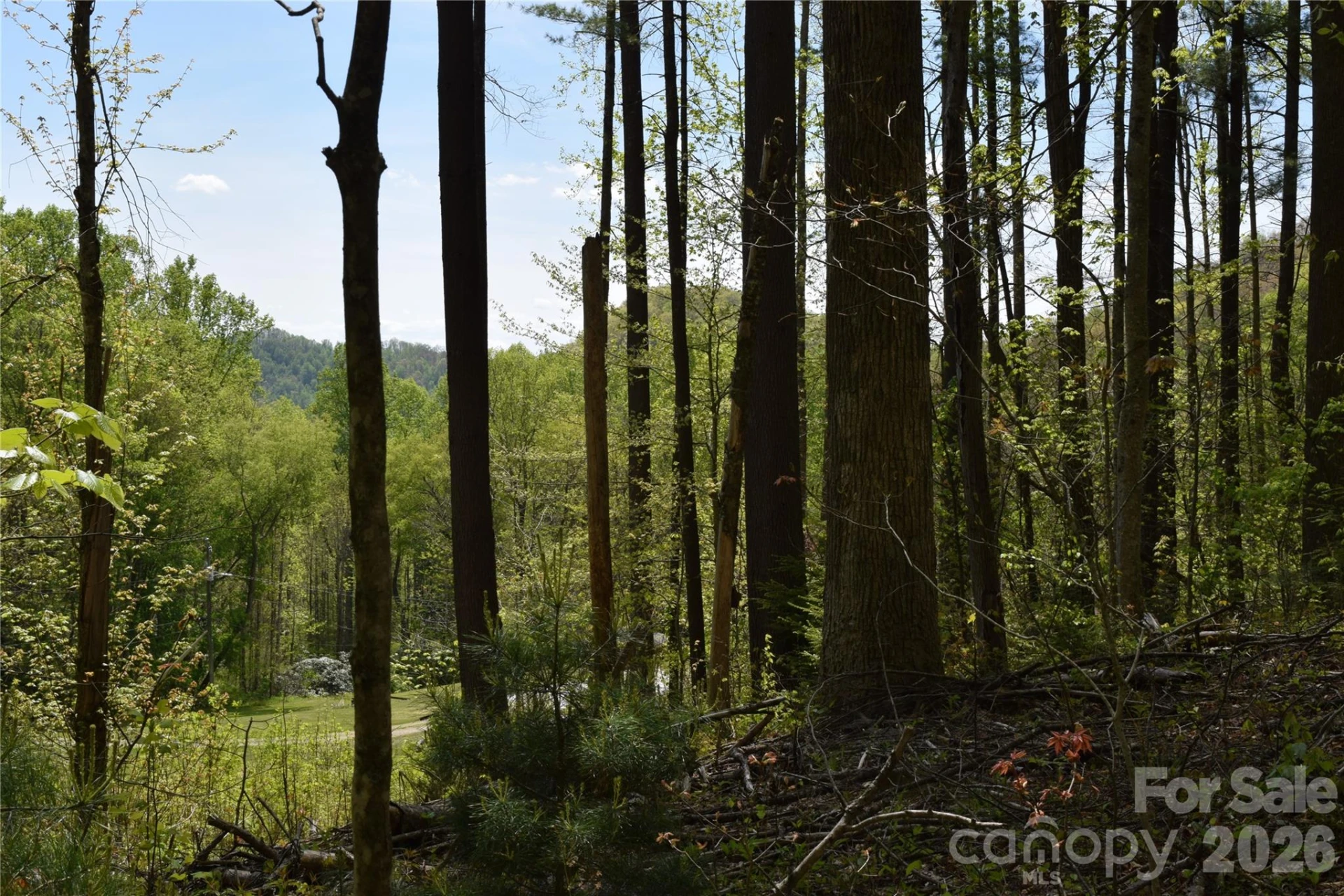 TBD Cabin Flats Road - Photo 9