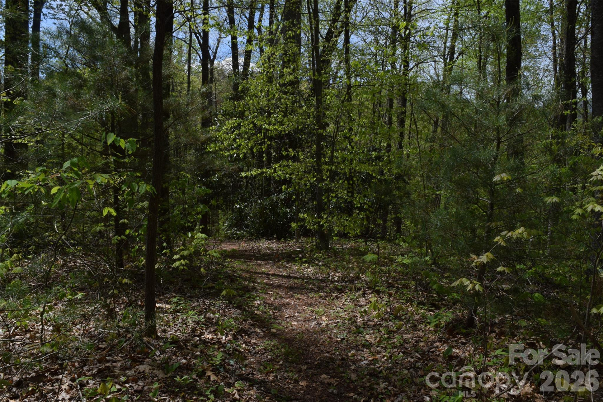 TBD Cabin Flats Road - Photo 10