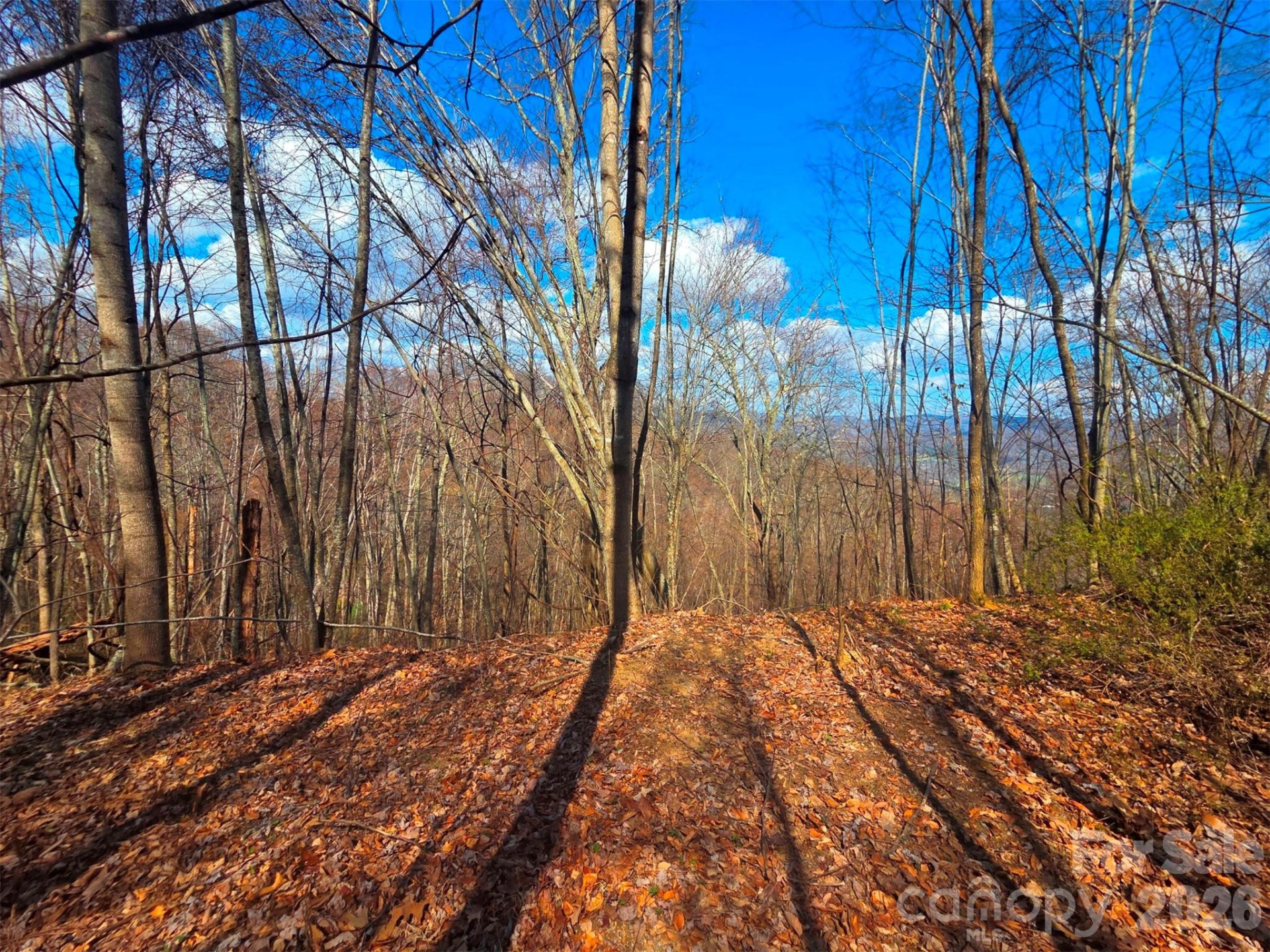 3355 Utah Mountain Road #3-F