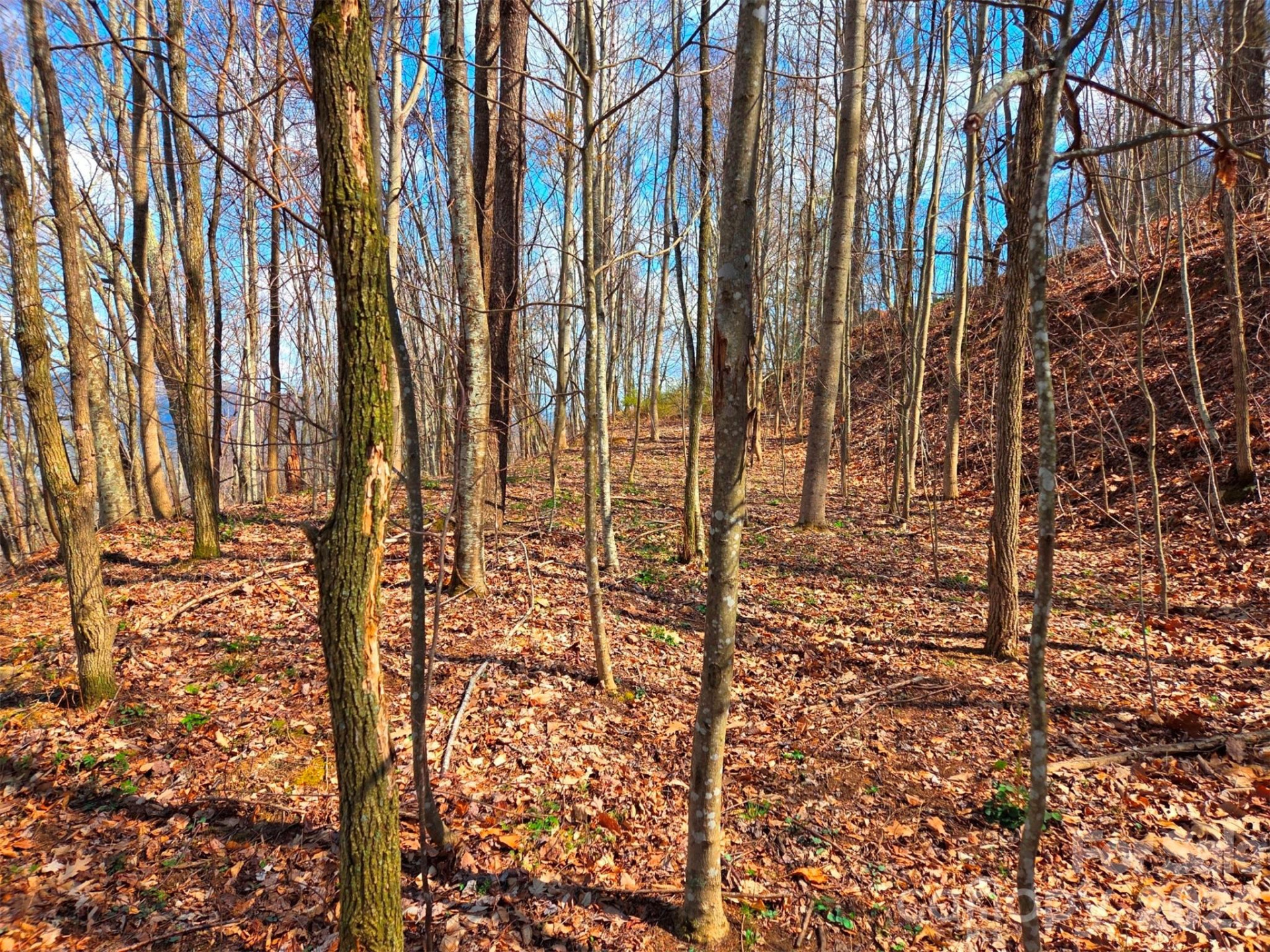 3355 Utah Mountain Road #3-F - Photo 11