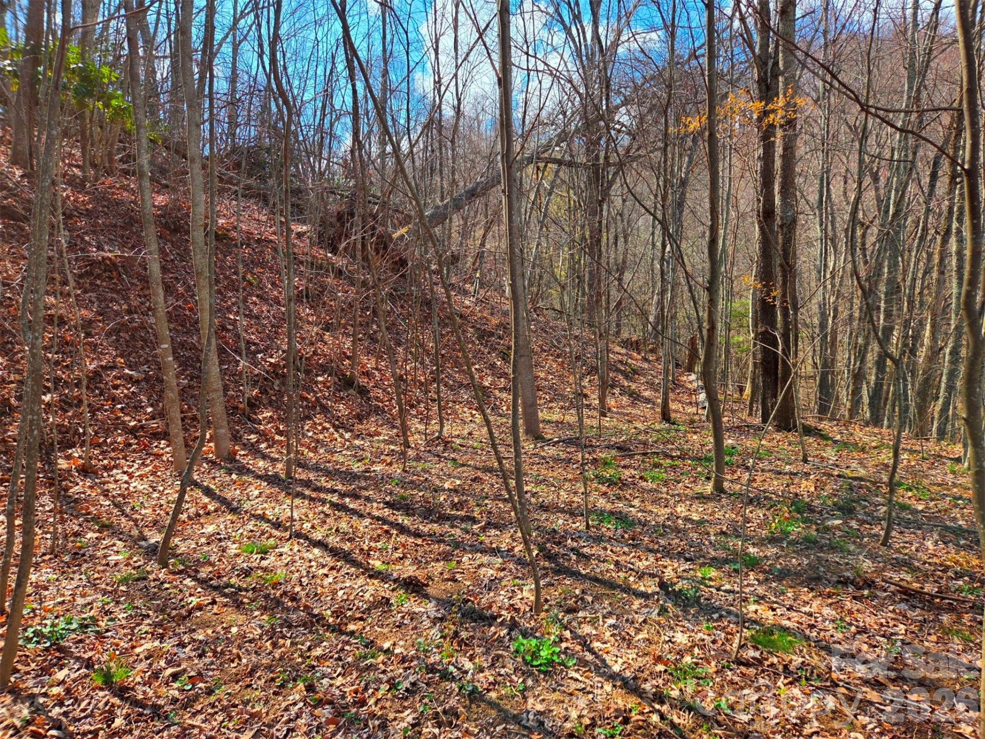 3355 Utah Mountain Road #3-F - Photo 12