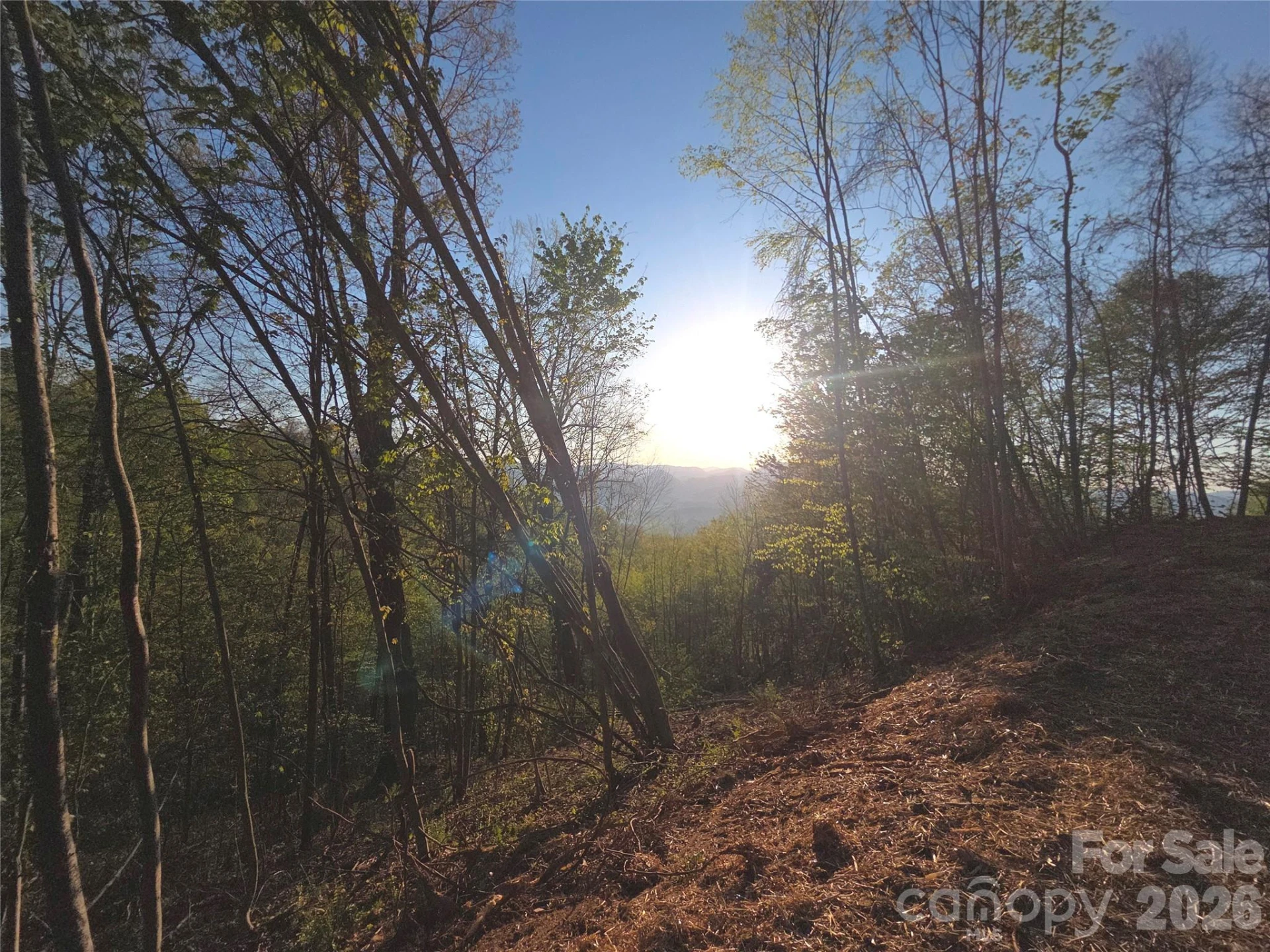 3355 Utah Mountain Road #3-F - Photo 23