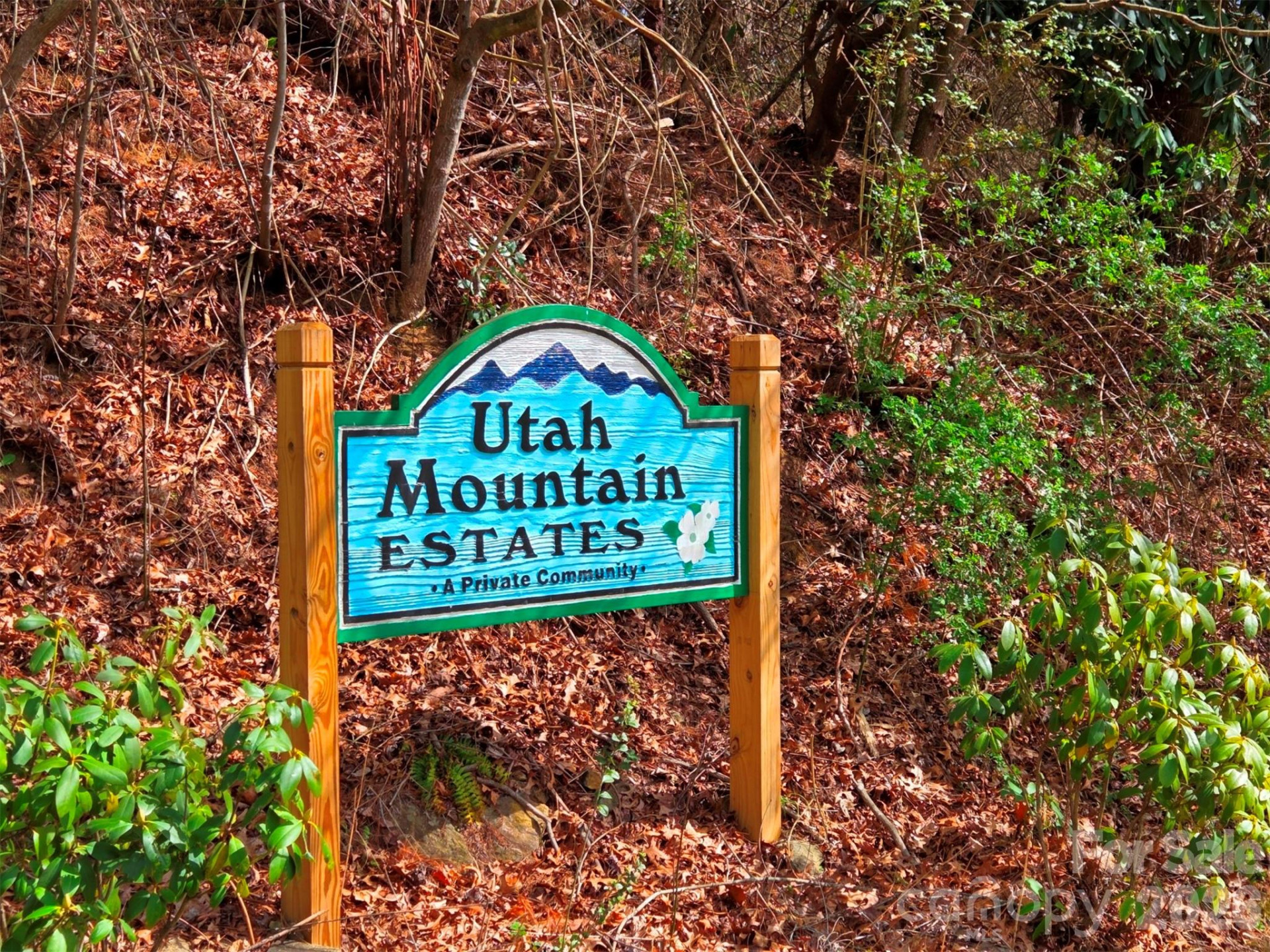 3355 Utah Mountain Road #3-F - Photo 13