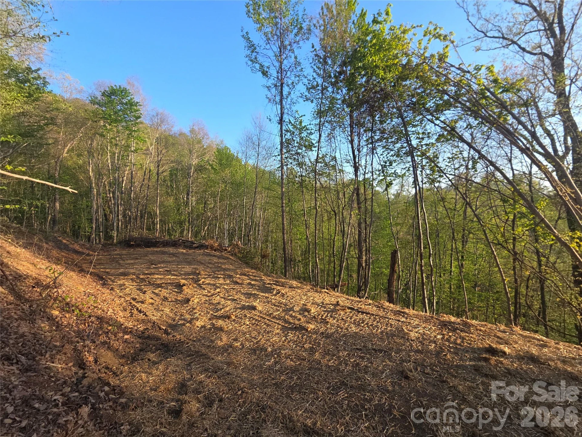 3355 Utah Mountain Road #3-F - Photo 25
