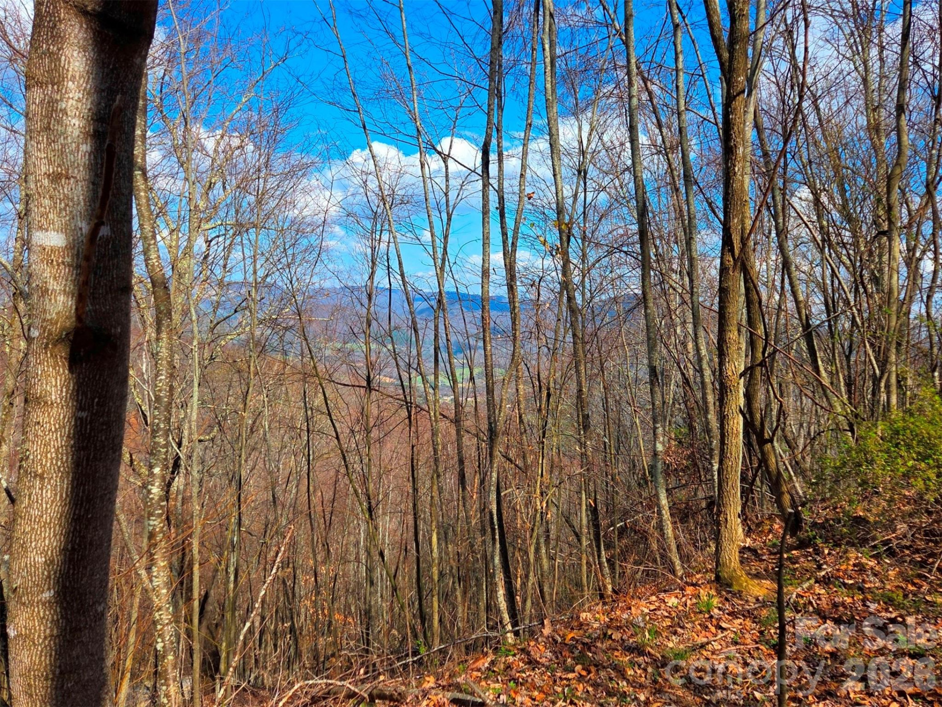 3355 Utah Mountain Road #3-F - Photo 14