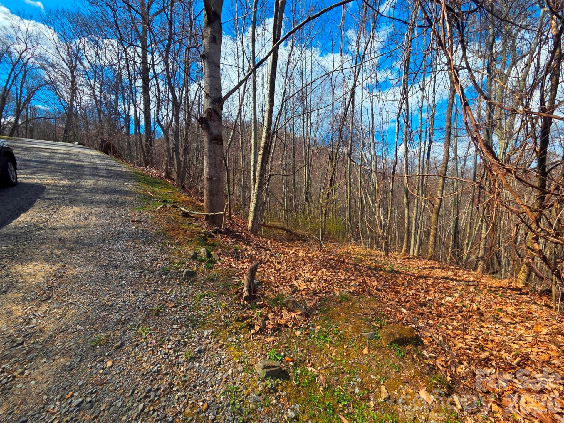 3355 Utah Mountain Road #3-F - Photo 16
