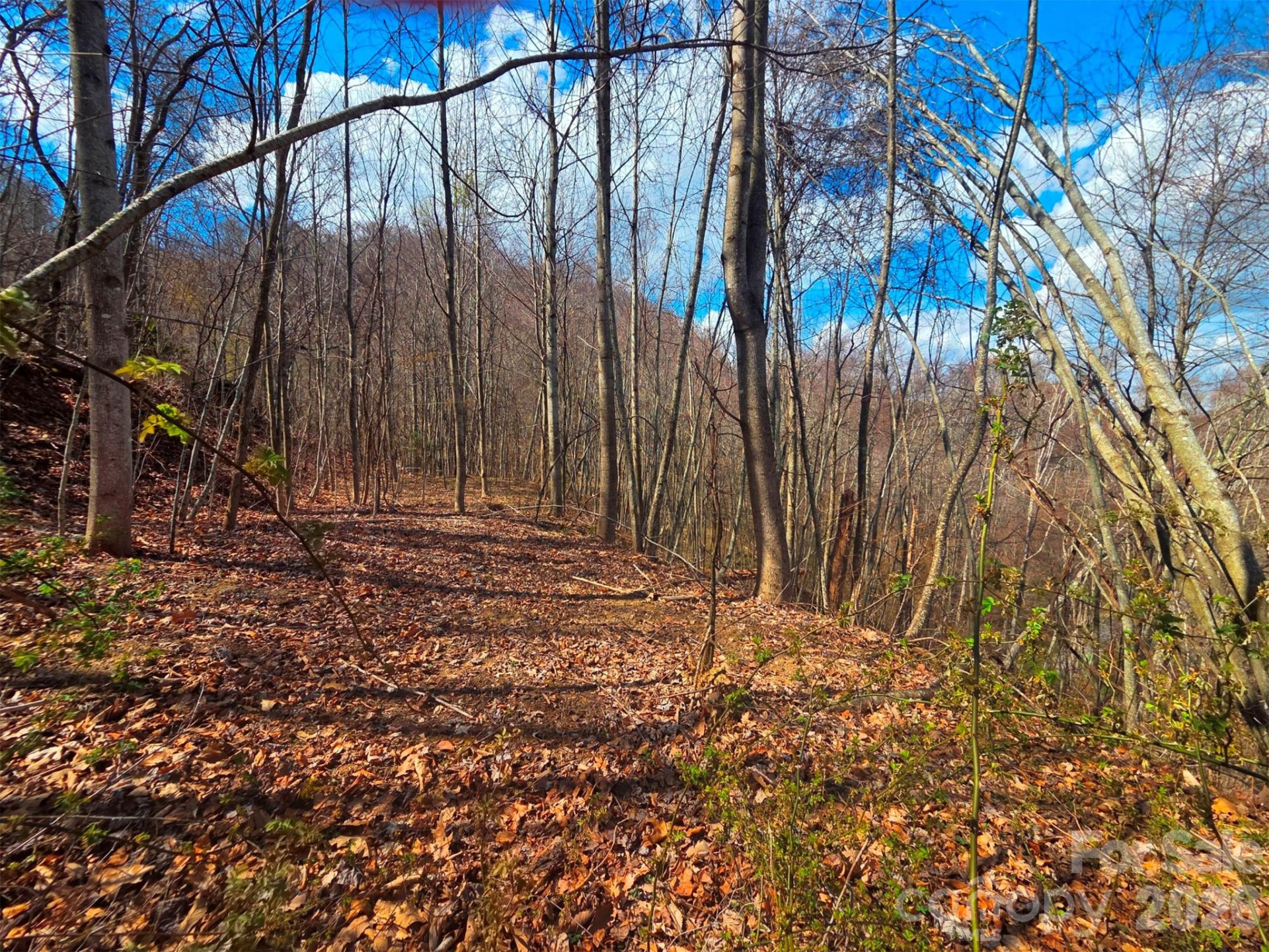 3355 Utah Mountain Road #3-F - Photo 17