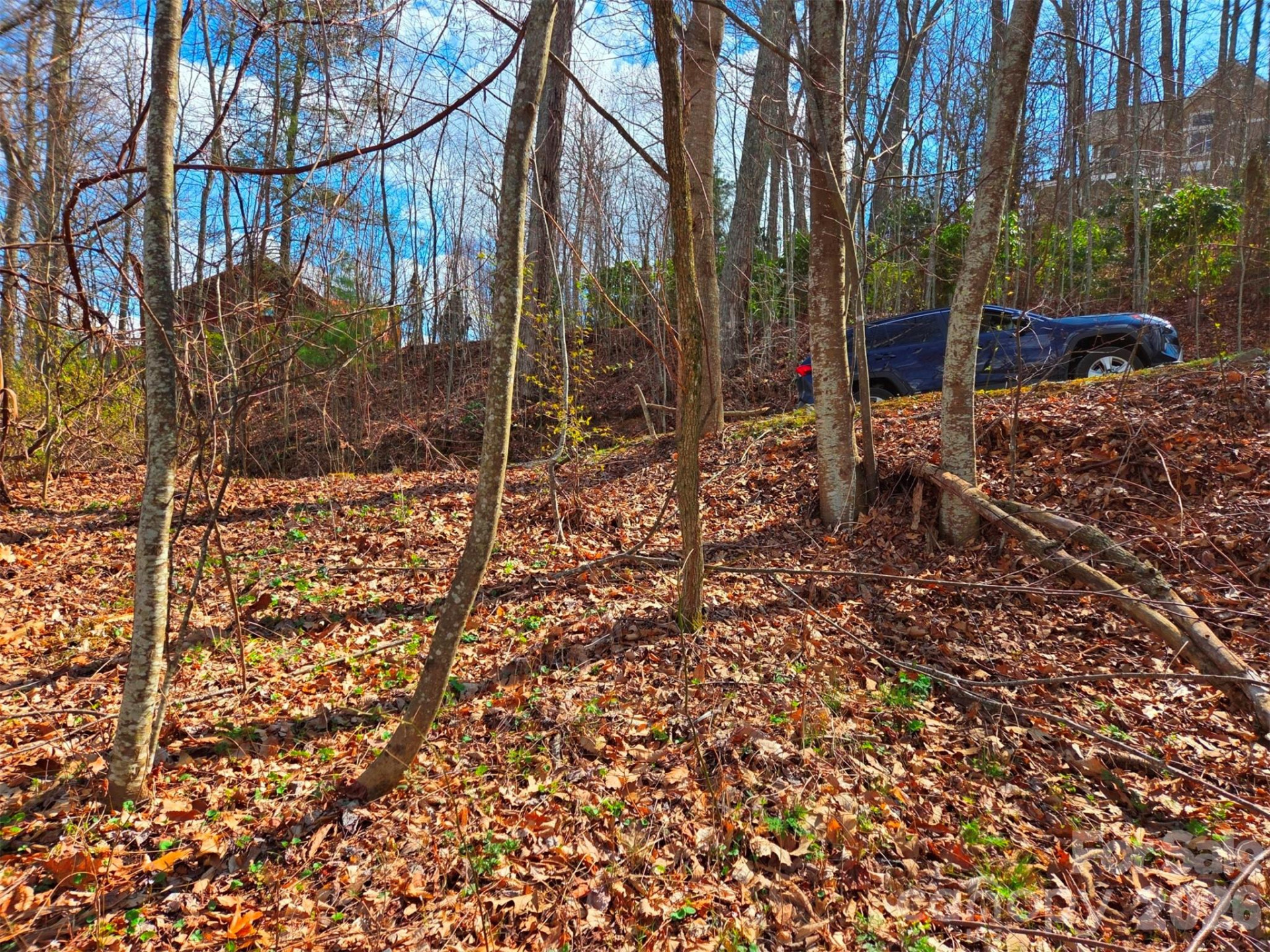 3355 Utah Mountain Road #3-F - Photo 6