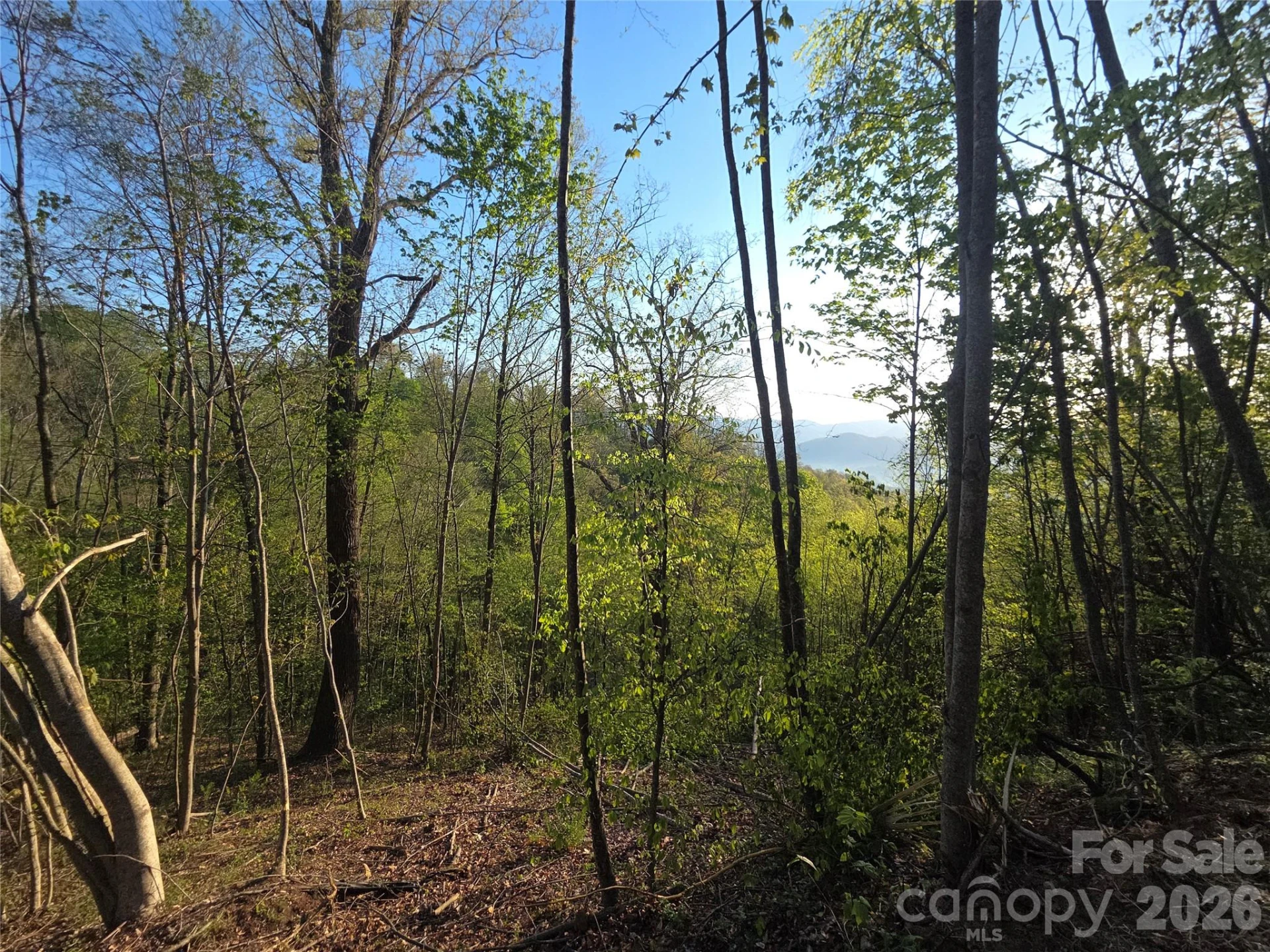 3355 Utah Mountain Road #3-F - Photo 11