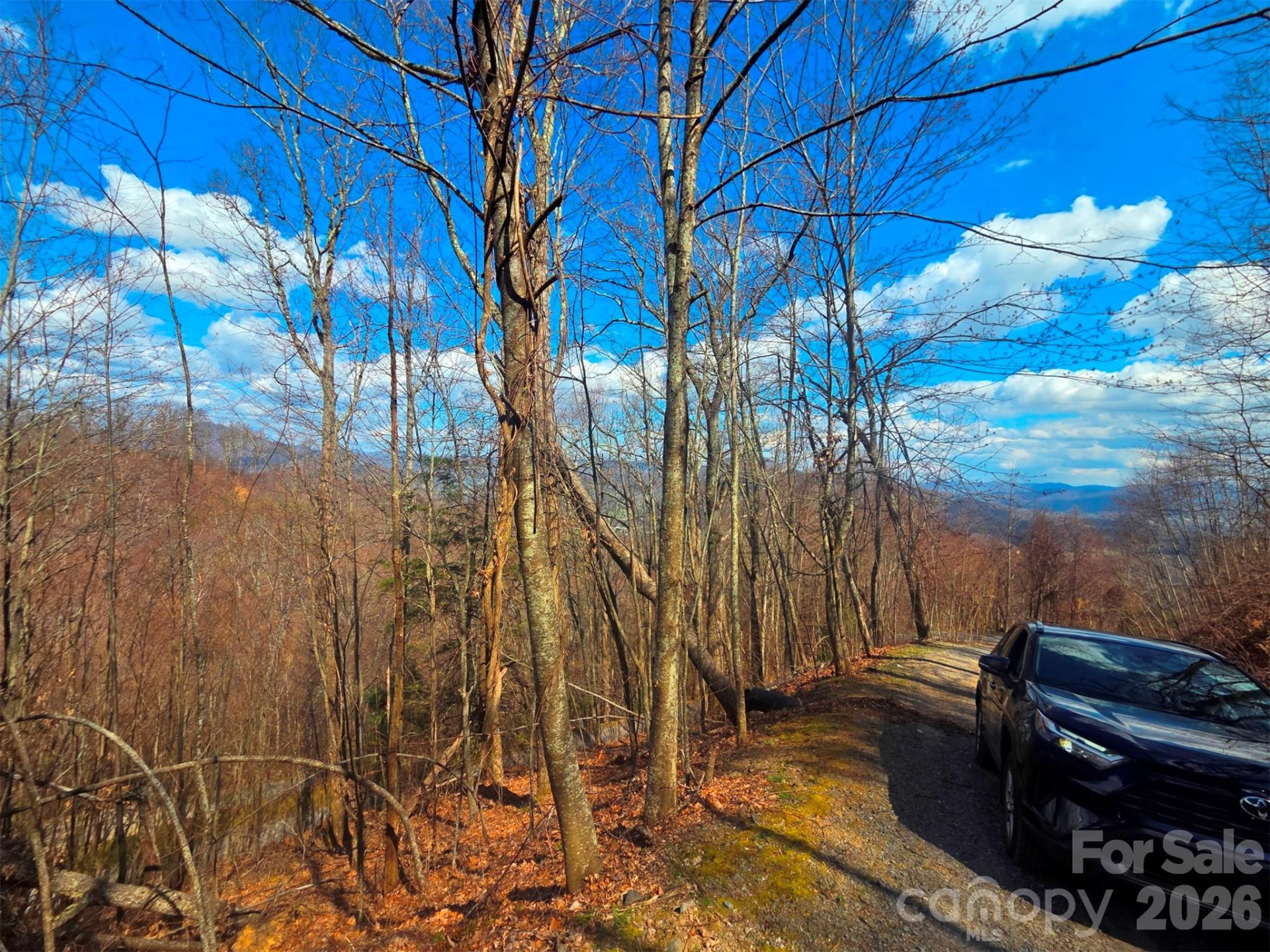 3355 Utah Mountain Road #3-F - Photo 7