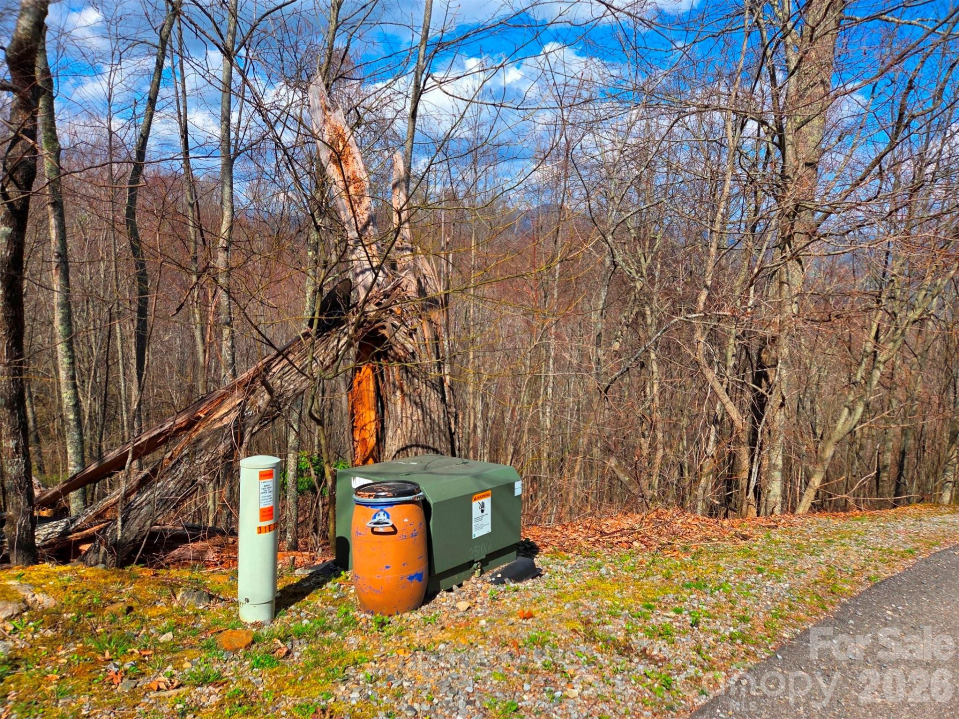 3355 Utah Mountain Road #3-F - Photo 8