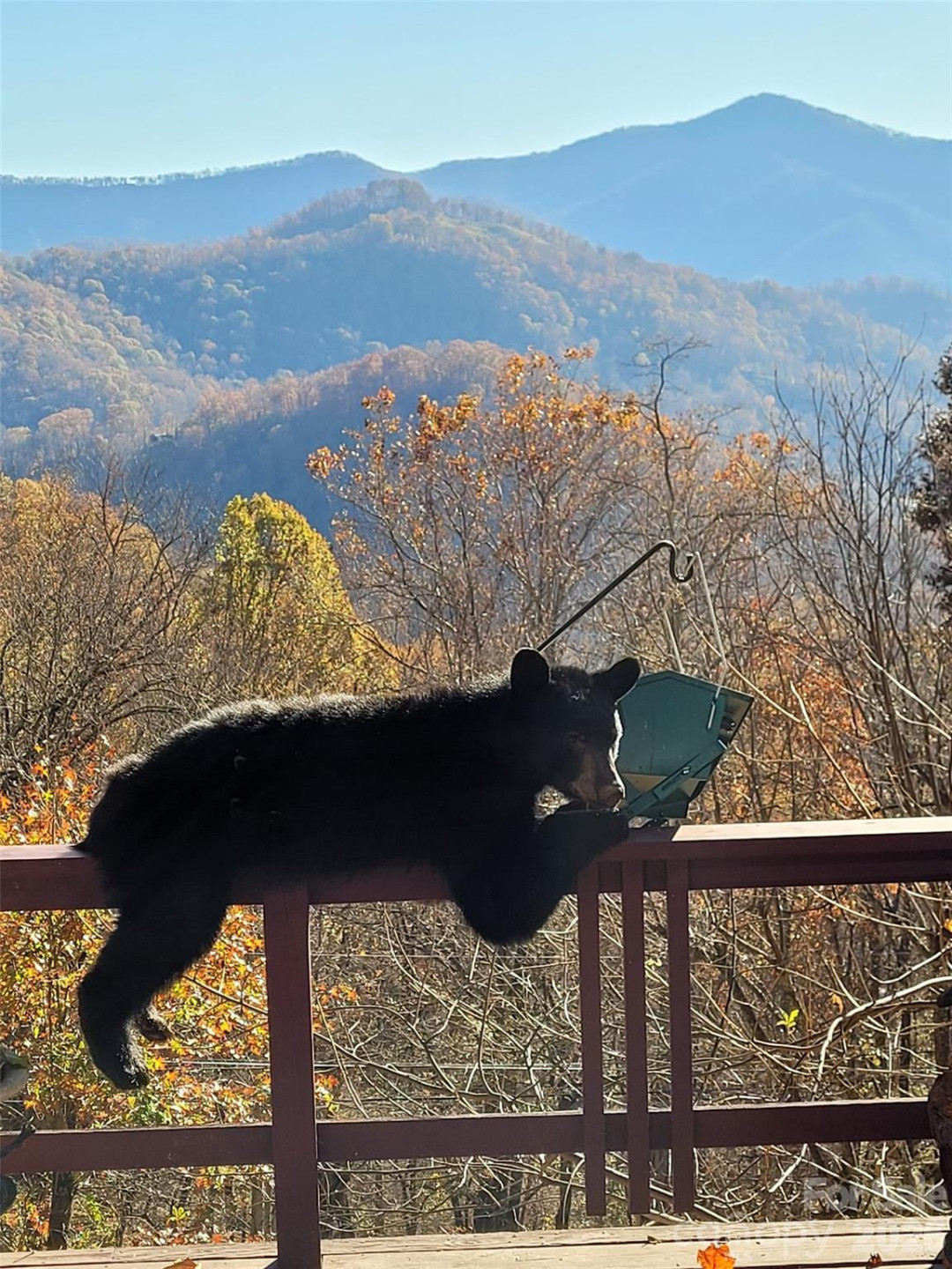 3355 Utah Mountain Road #3-F - Photo 10