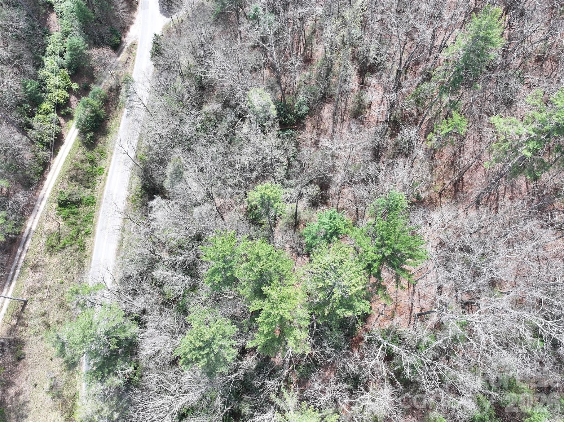 00 White Oak Road - Photo 2