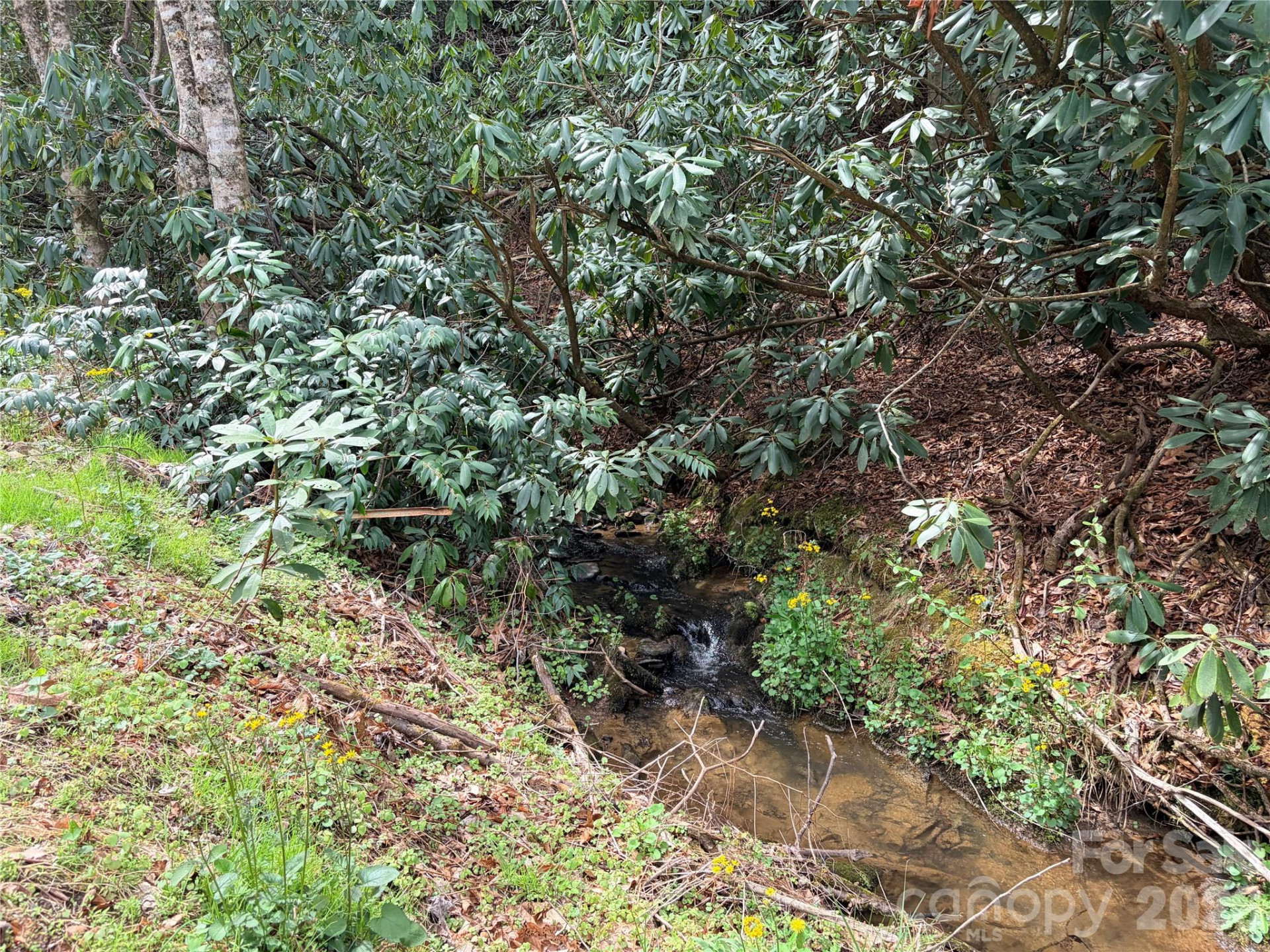 00 White Oak Road - Photo 3