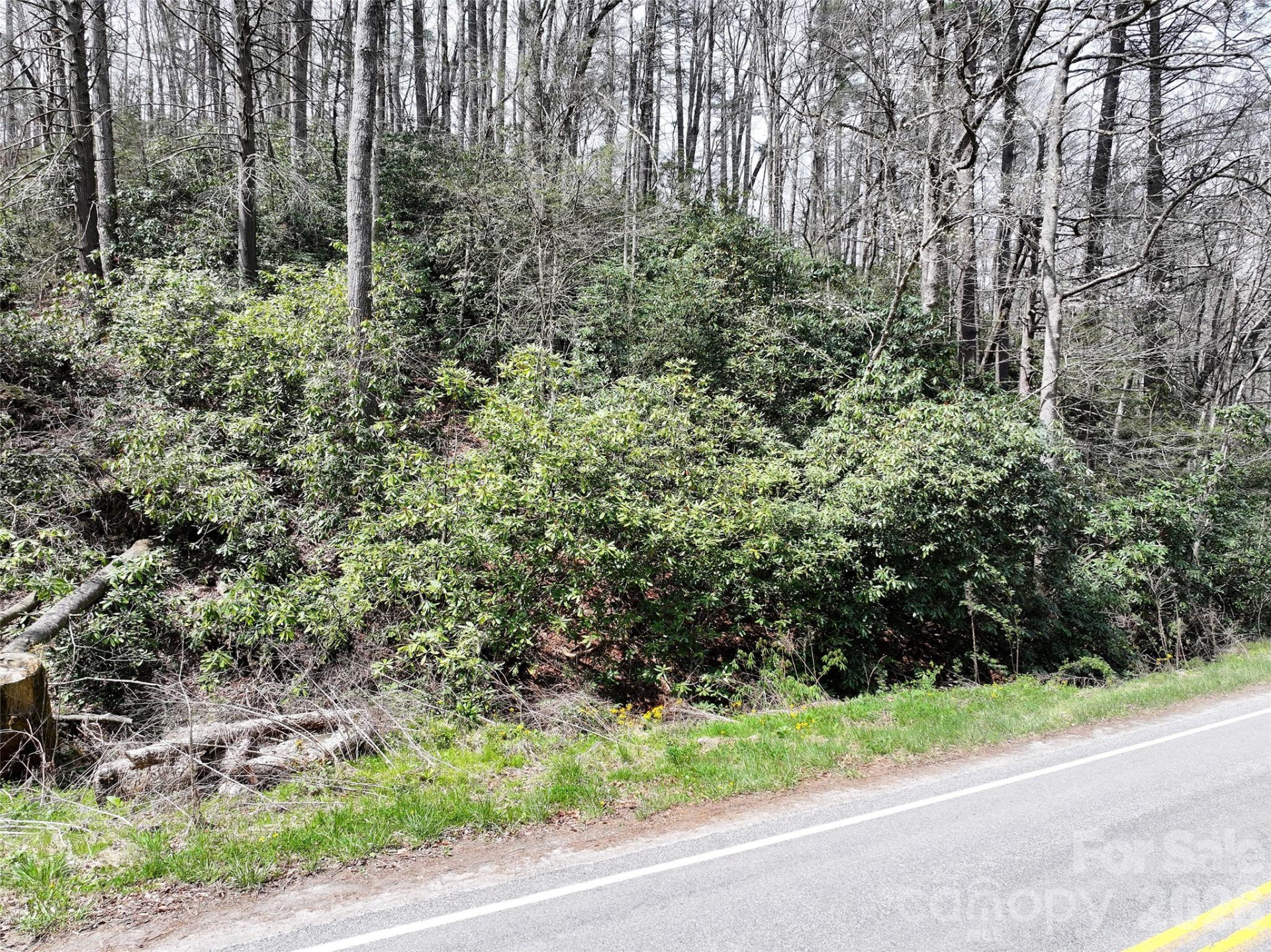 00 White Oak Road - Photo 4