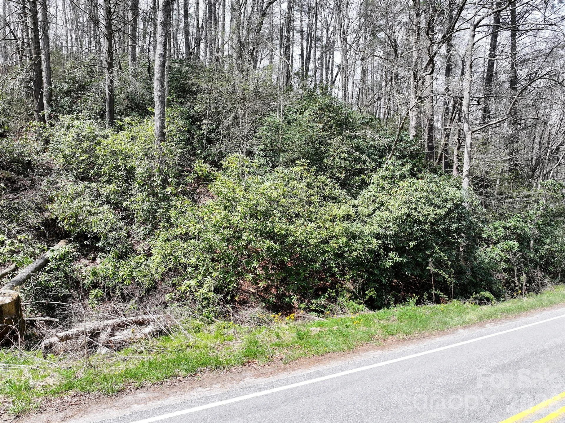 00 White Oak Road - Photo 4