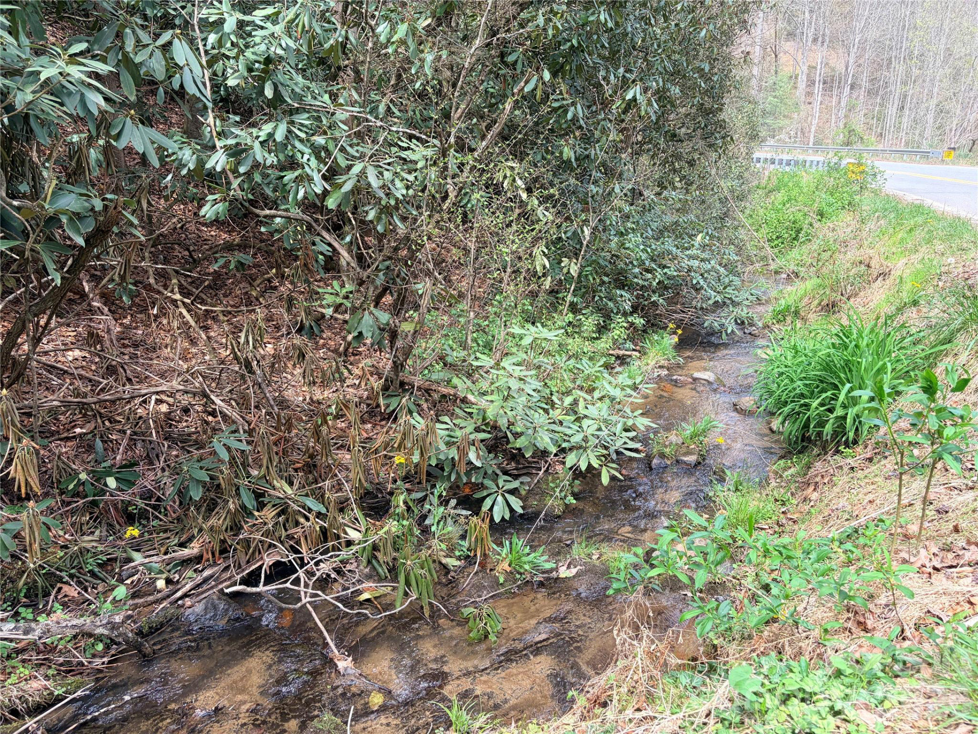 00 White Oak Road - Photo 6