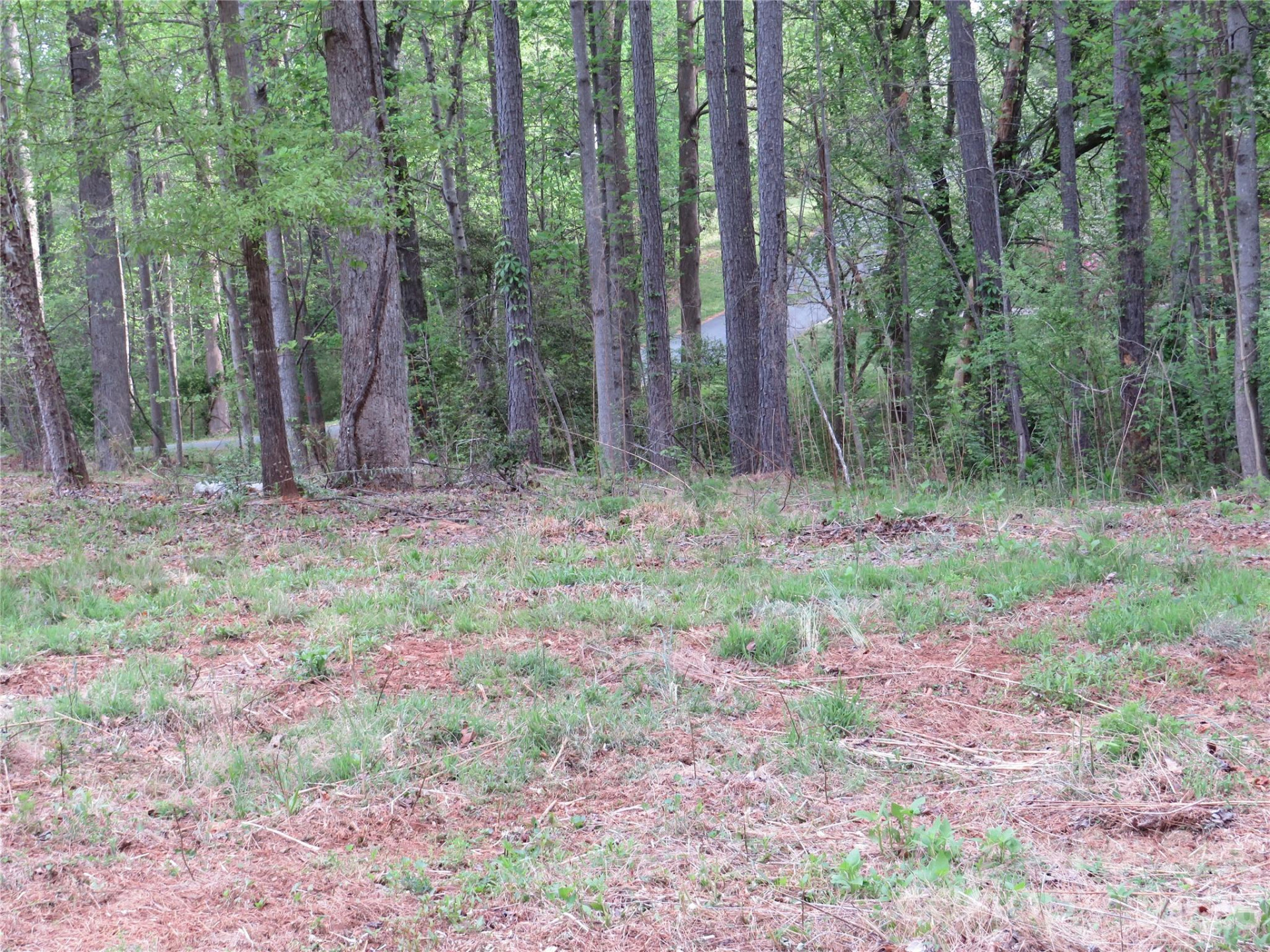 0 McCall Drive - Photo 13