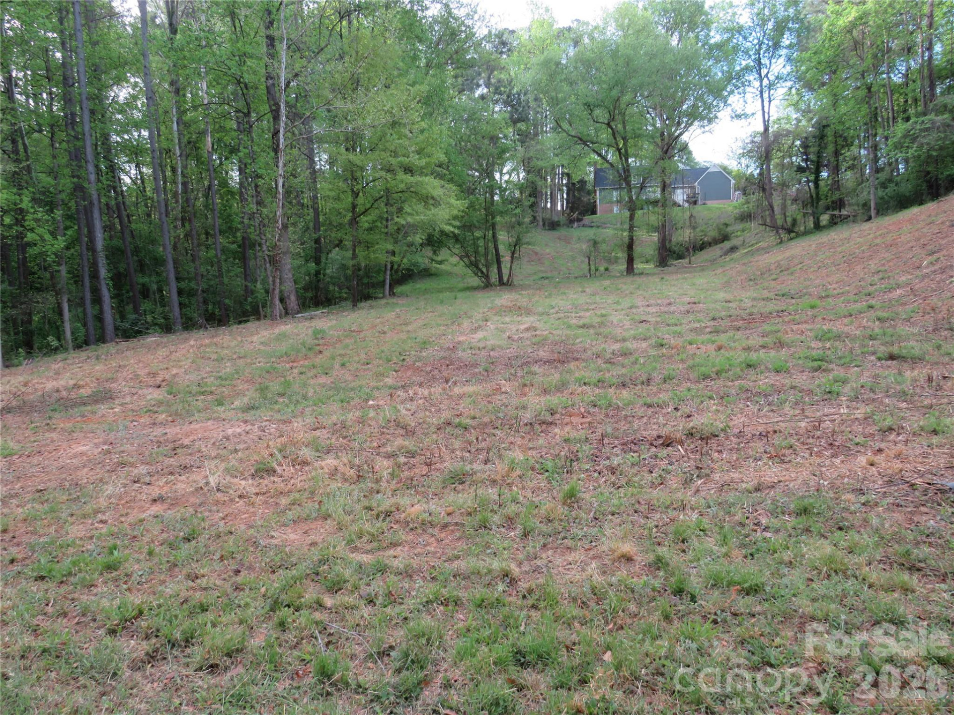 0 McCall Drive - Photo 3