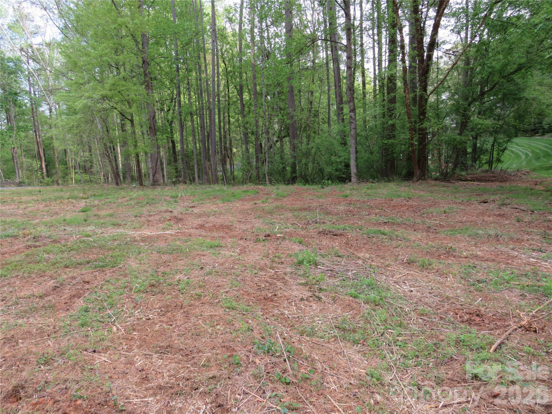 0 McCall Drive - Photo 4