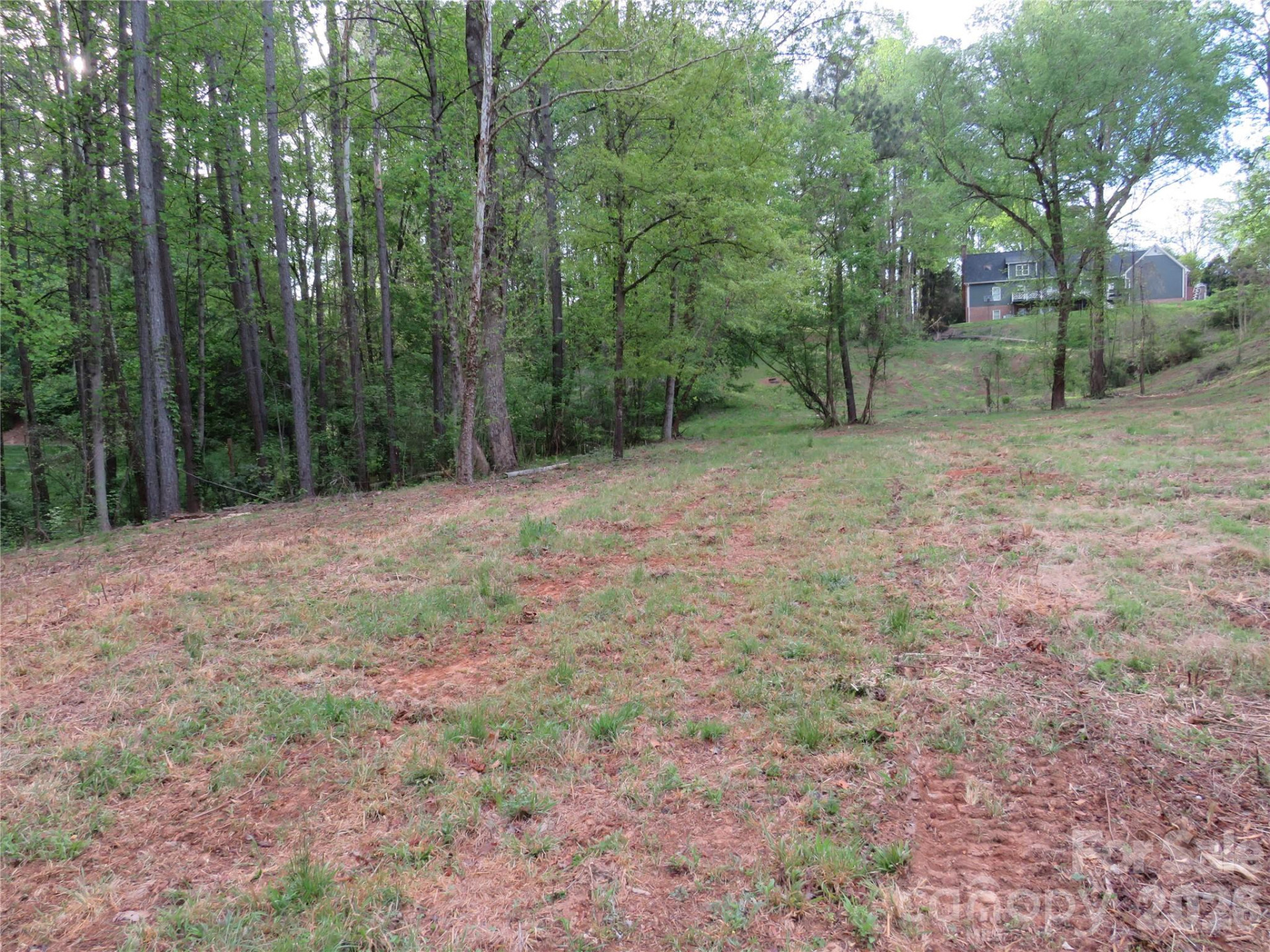 0 McCall Drive - Photo 6