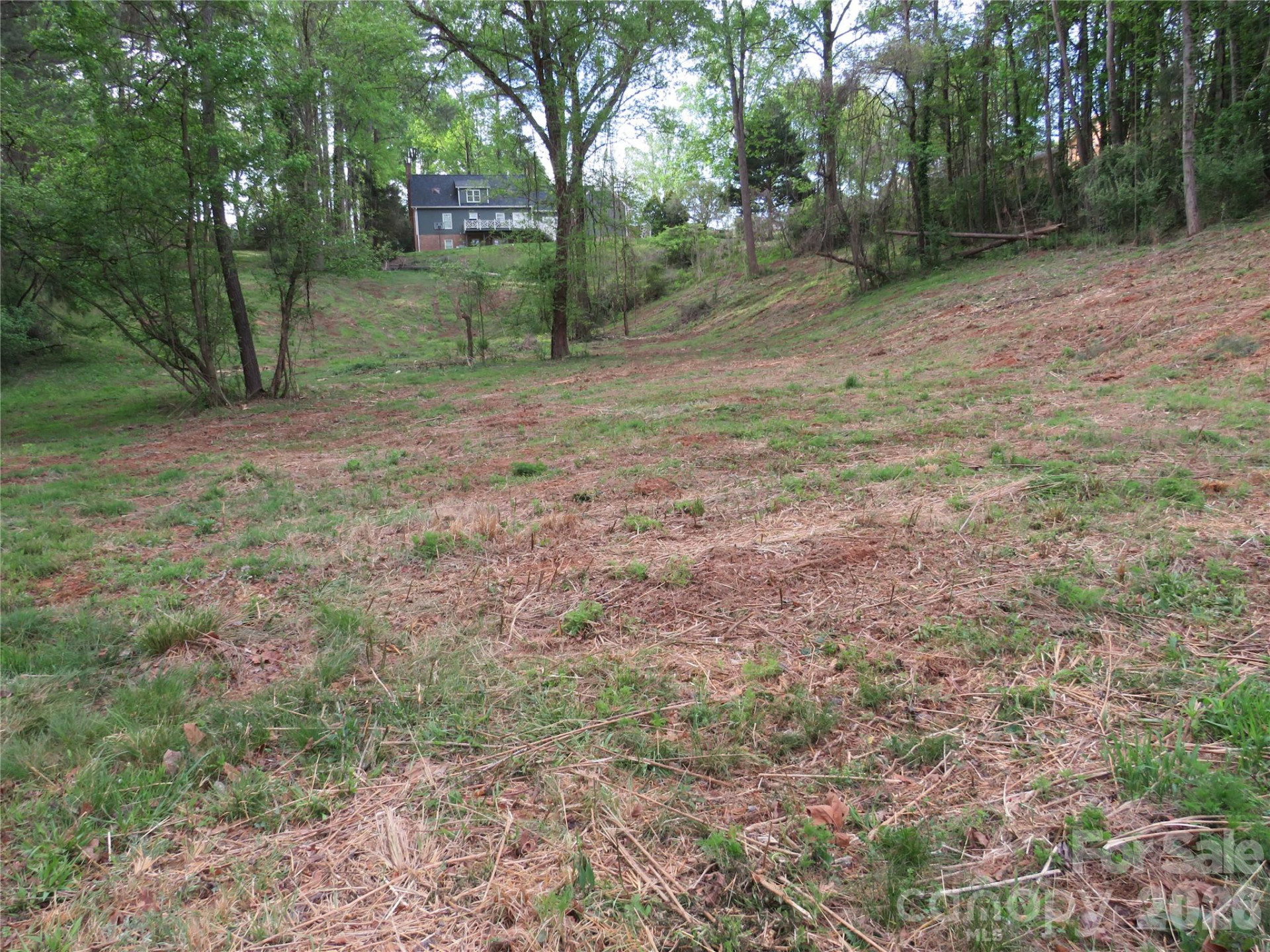 0 McCall Drive - Photo 7