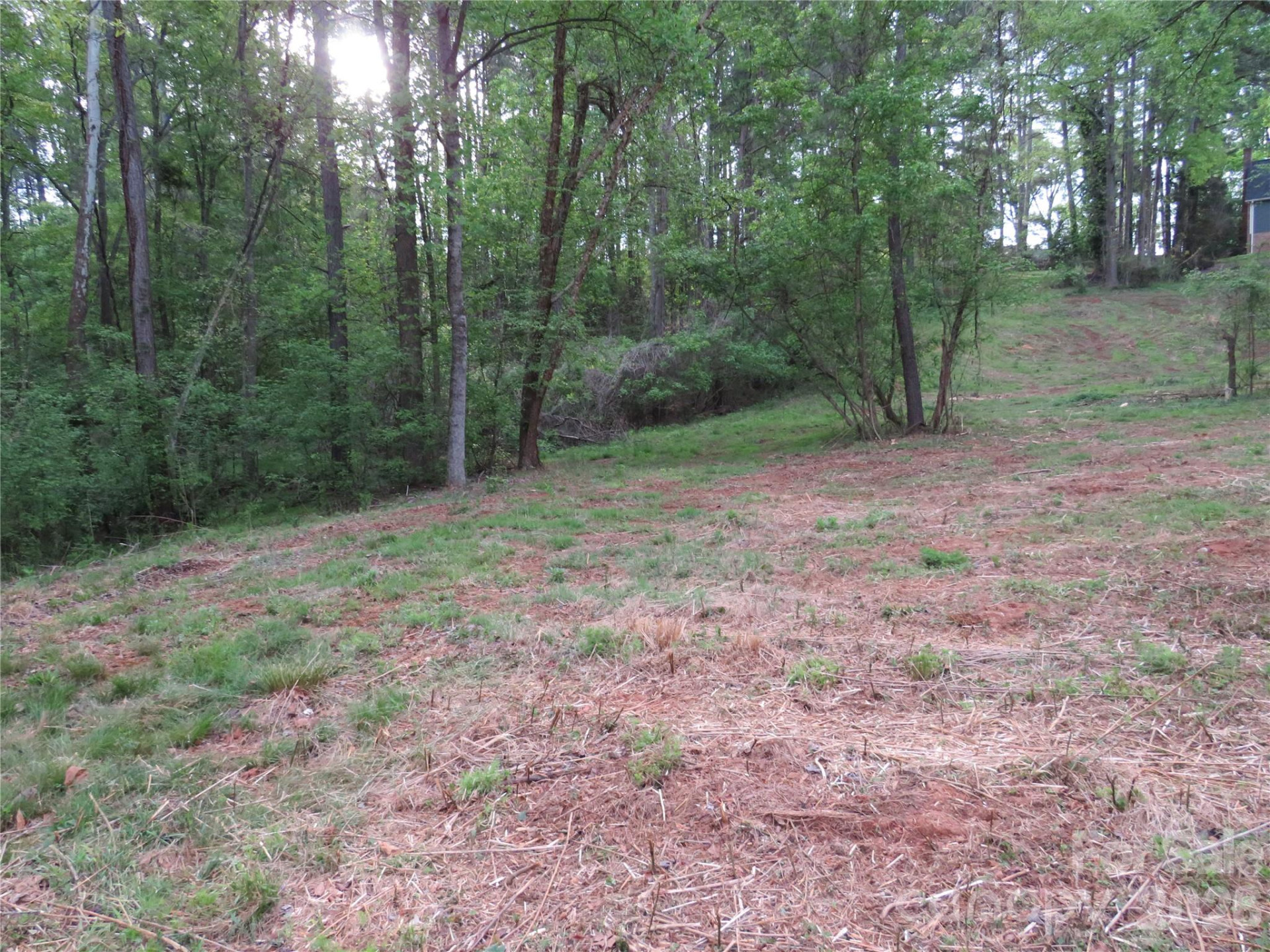 0 McCall Drive - Photo 8