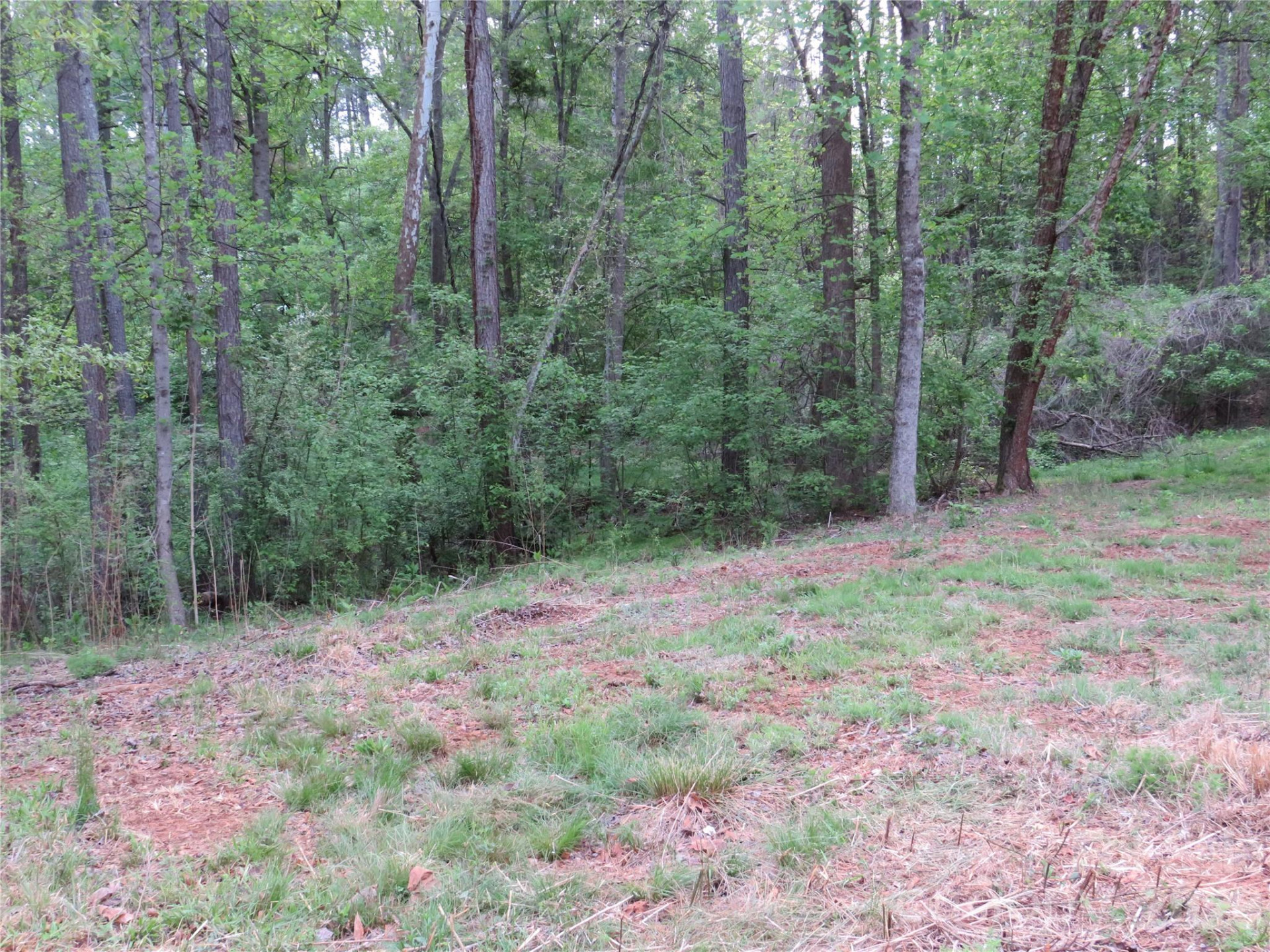 0 McCall Drive - Photo 9