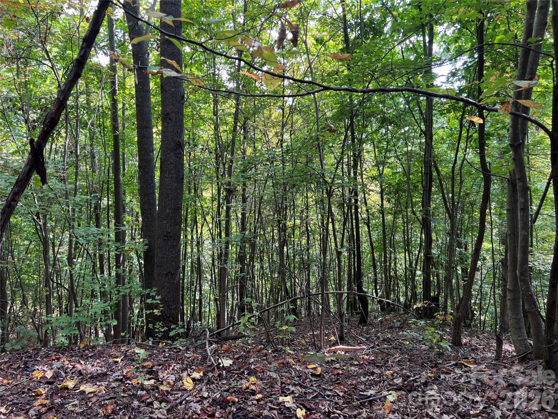 0 Old Forge Drive #94 - Photo 2