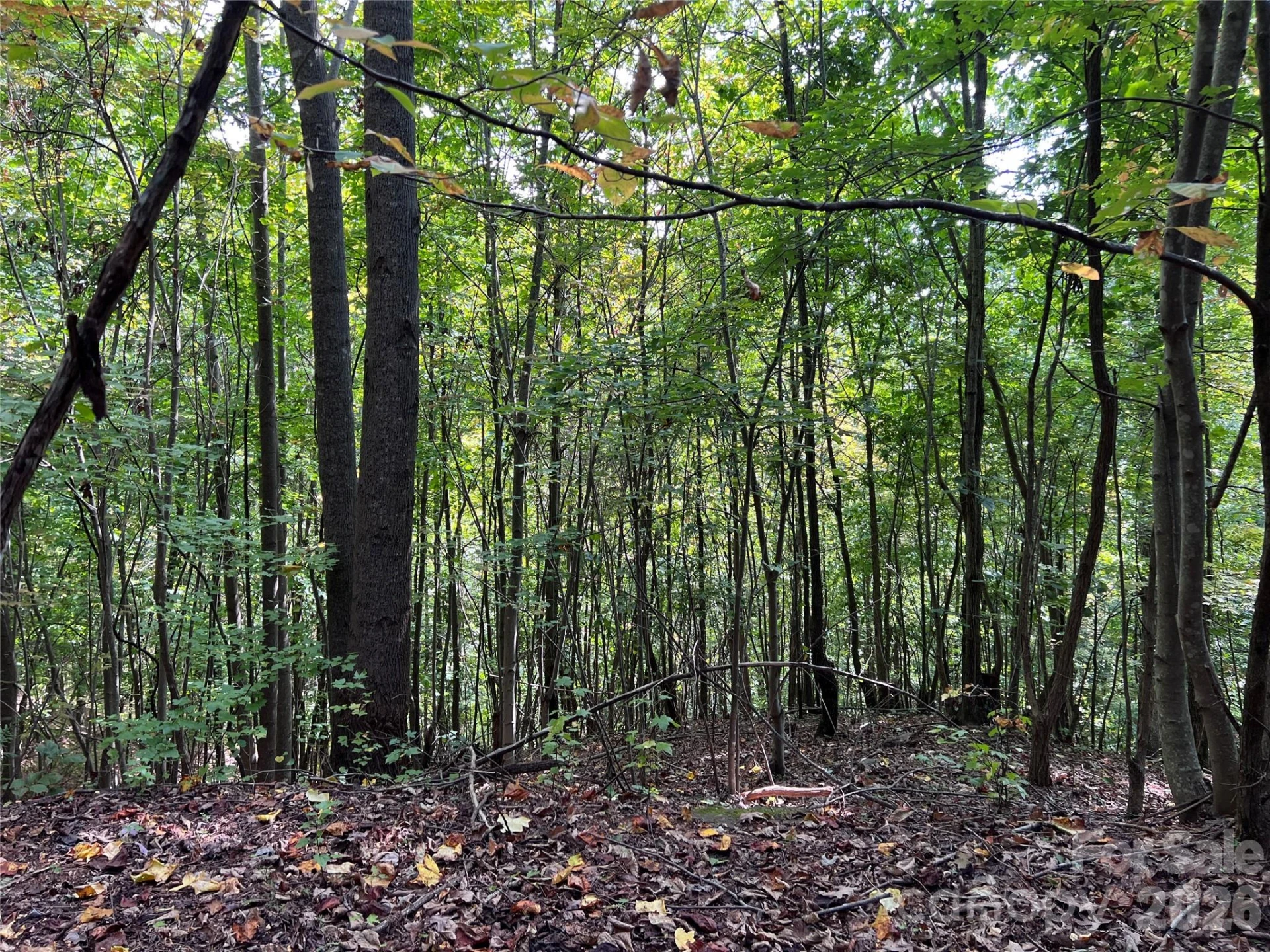 0 Old Forge Drive #94 - Photo 2