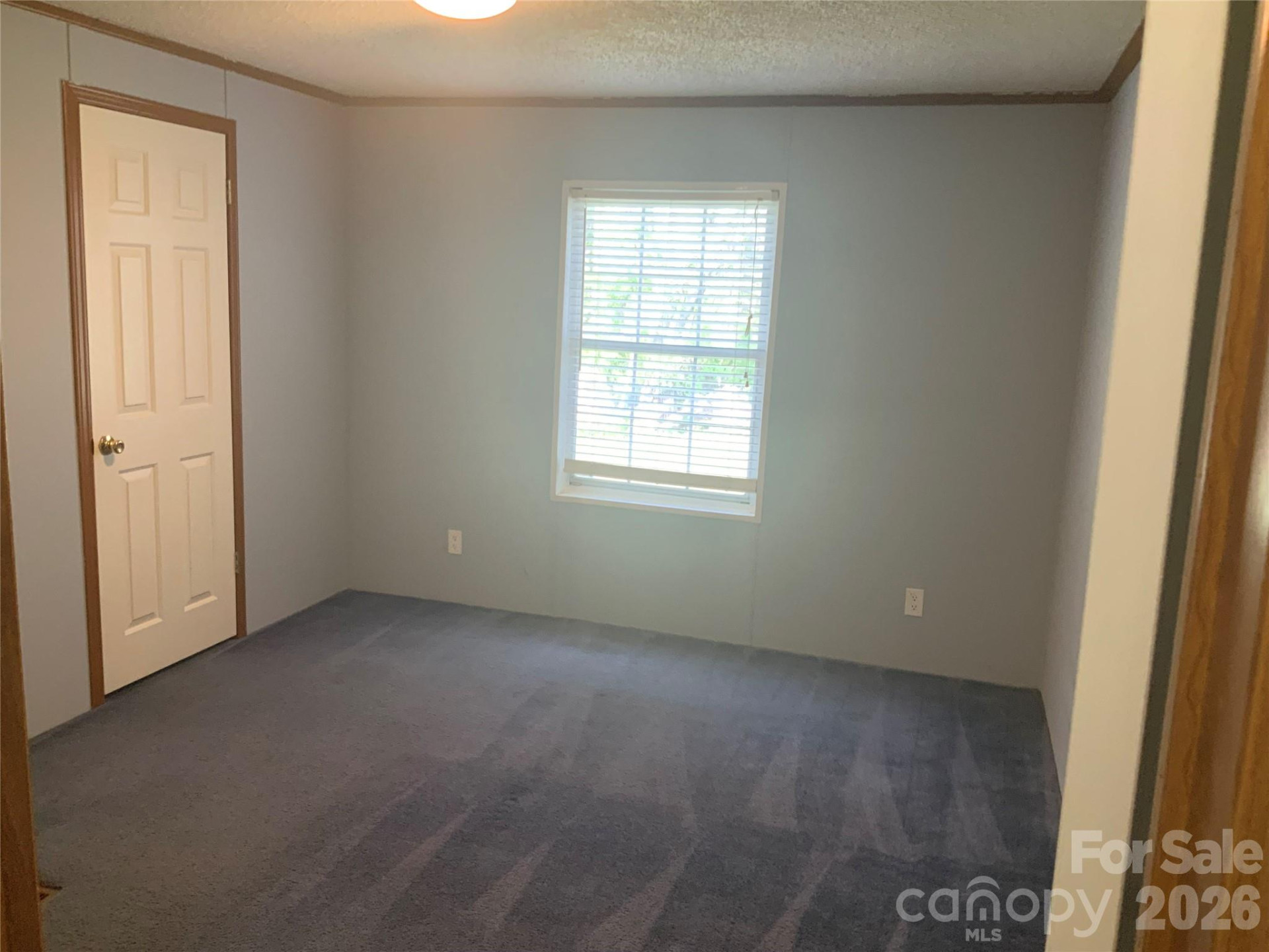 47 Eve Drive - Photo 10