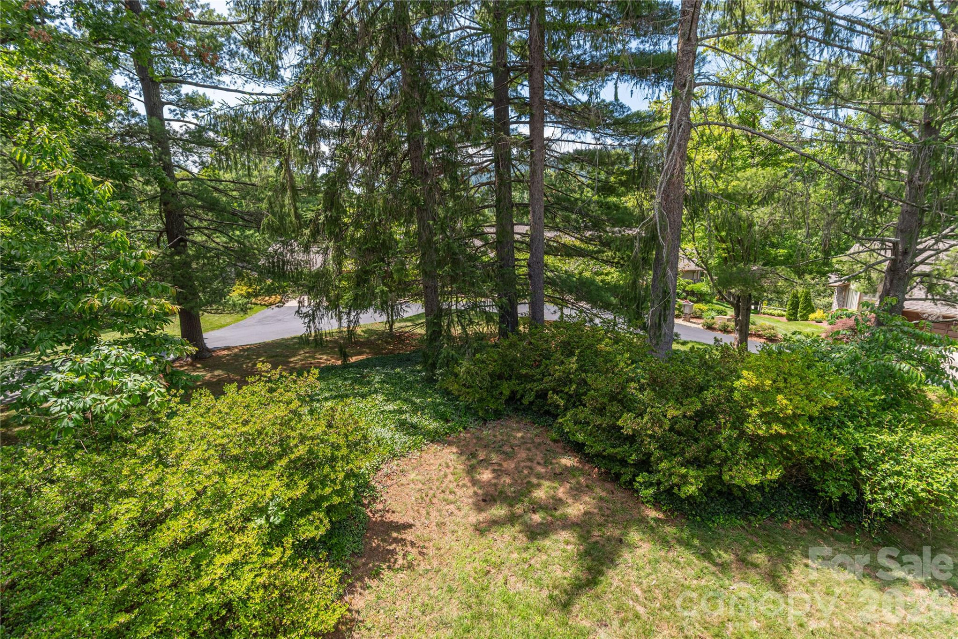 1101 Timber Trail - Photo 5