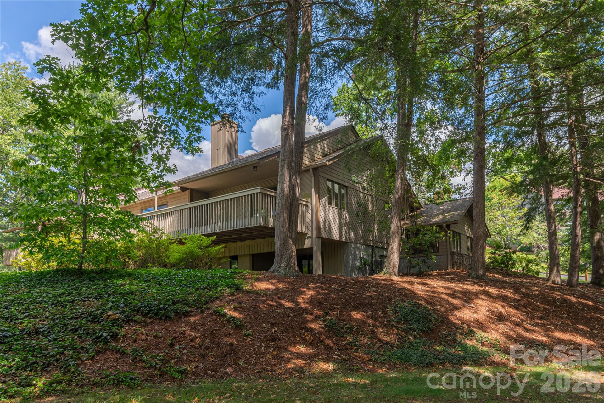 1101 Timber Trail - Photo 8