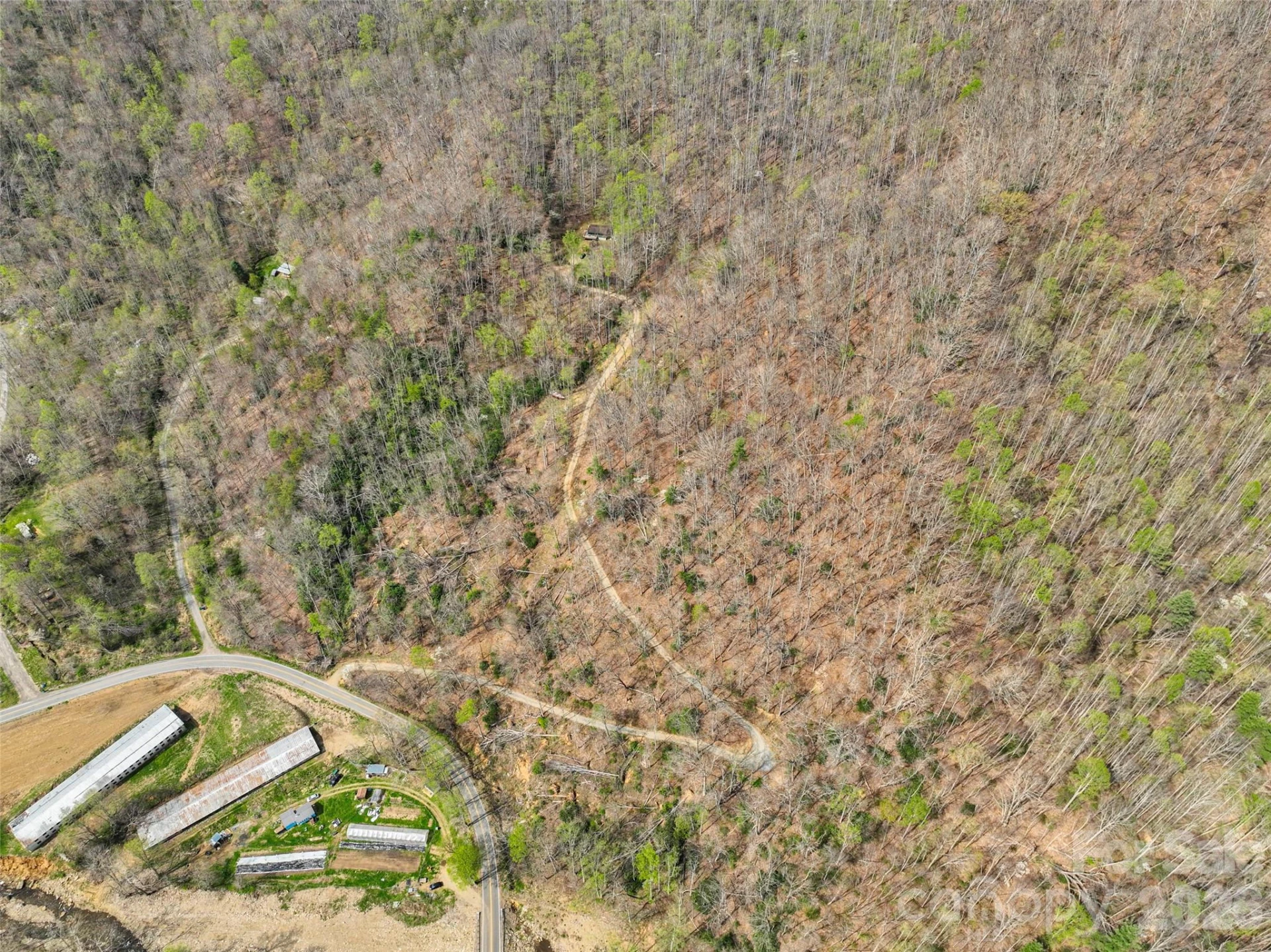 183 Stoney Fork Road - Photo 37