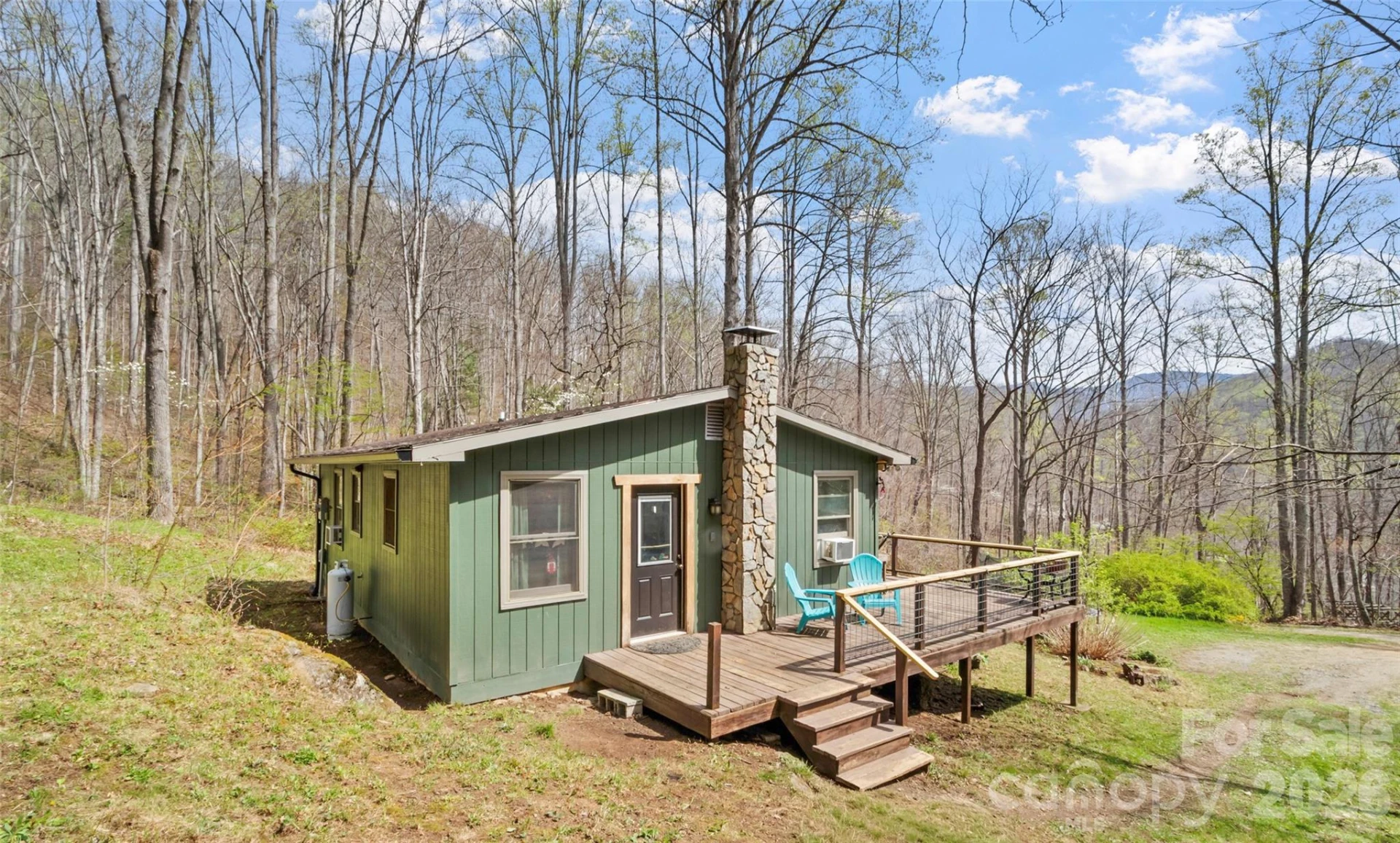183 Stoney Fork Road - Photo 9