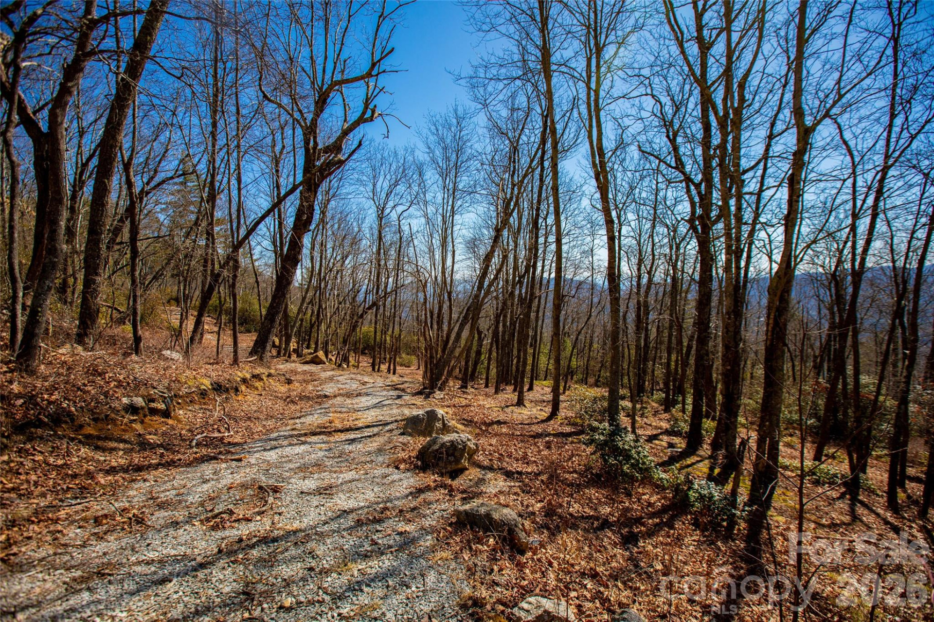 Lot 19 Whitetail Drive - Photo 11