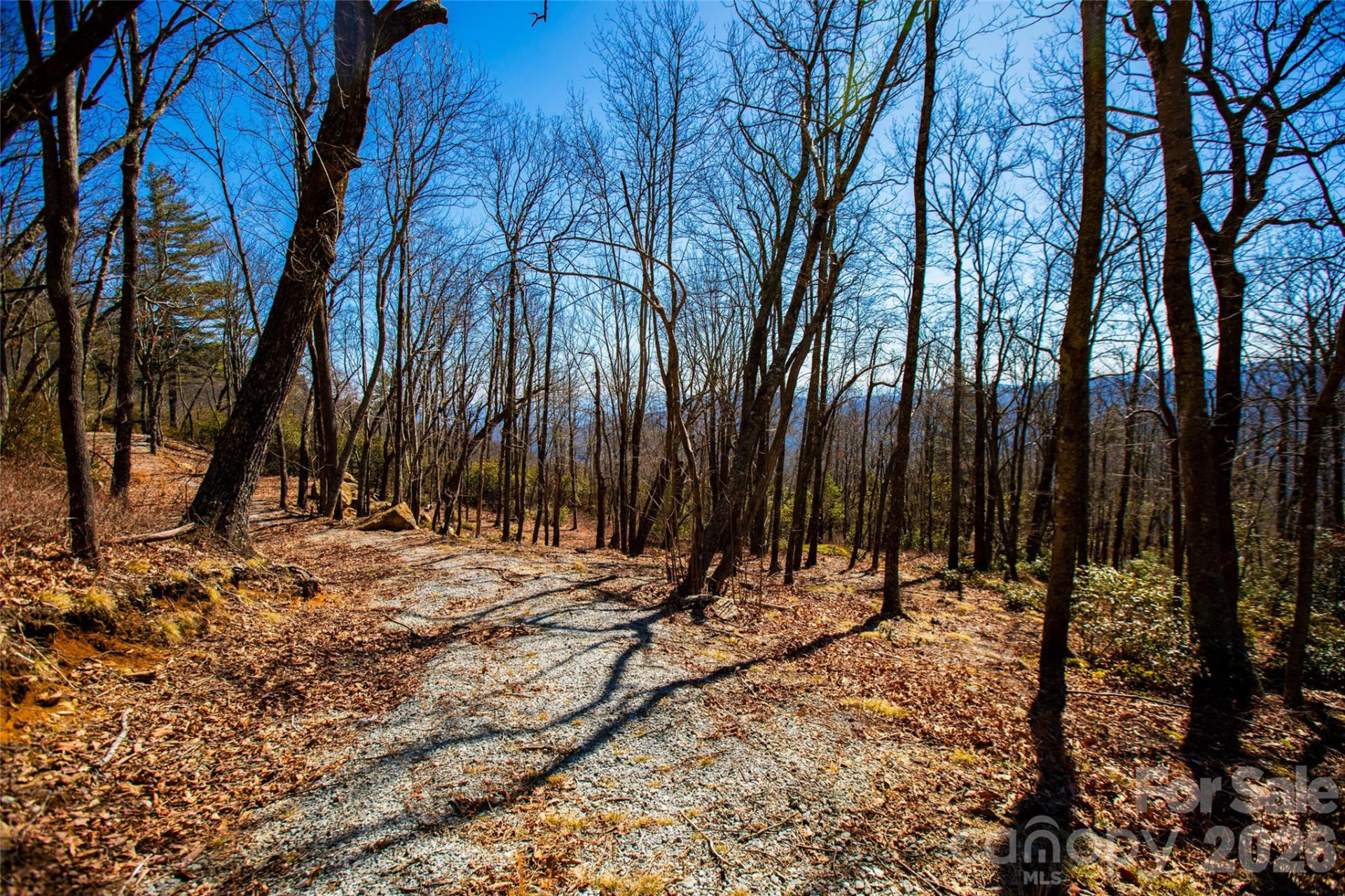 Lot 19 Whitetail Drive - Photo 12