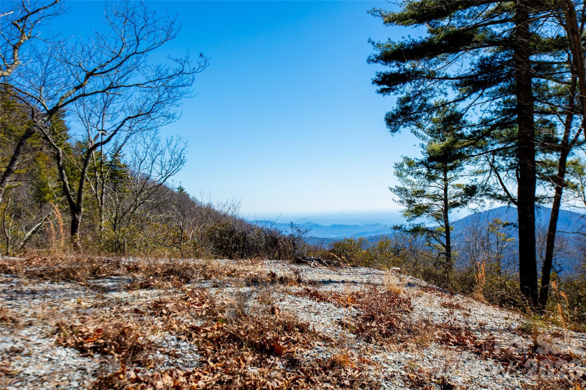 Lot 19 Whitetail Drive - Photo 13