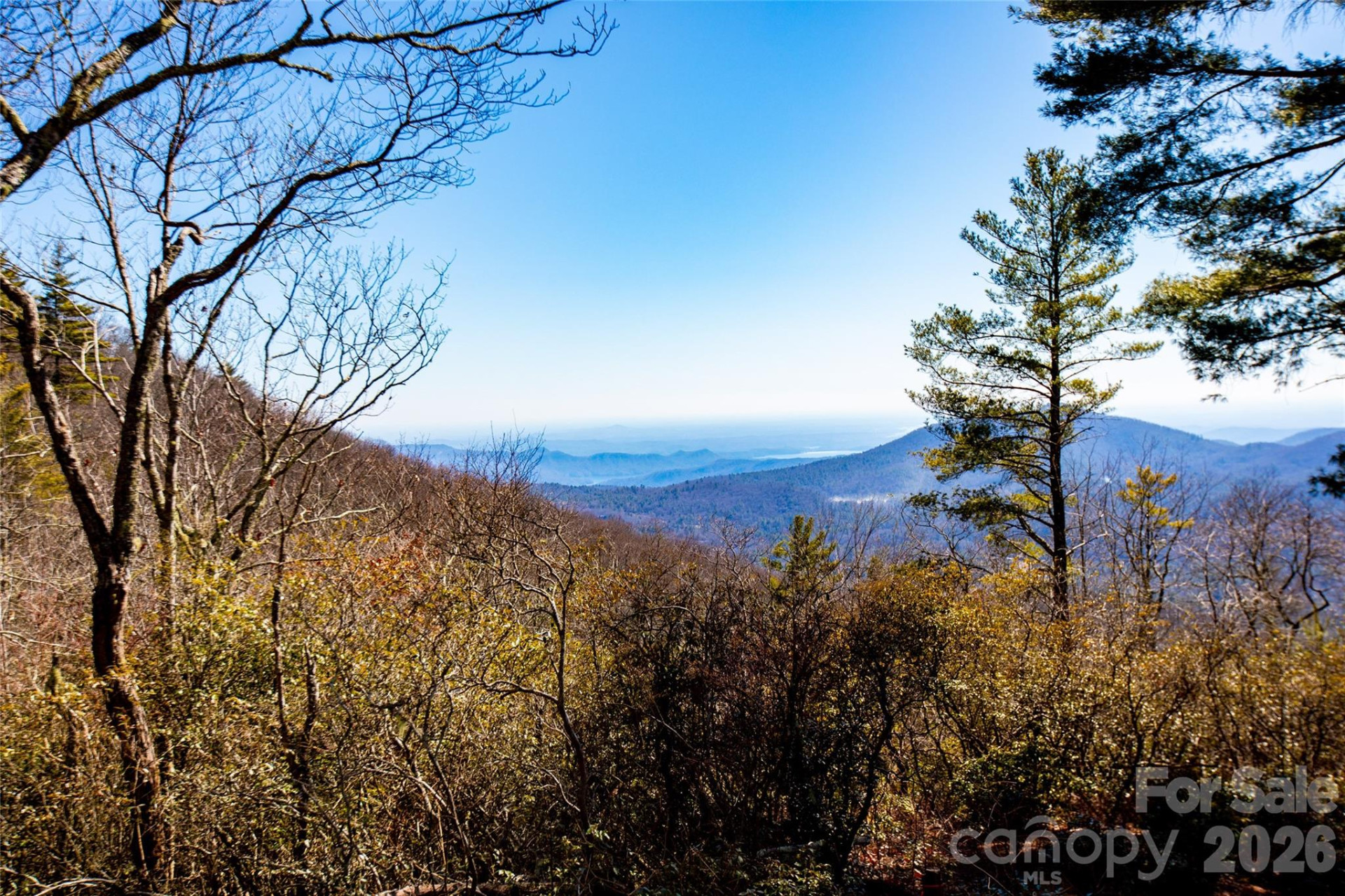 Lot 19 Whitetail Drive - Photo 14