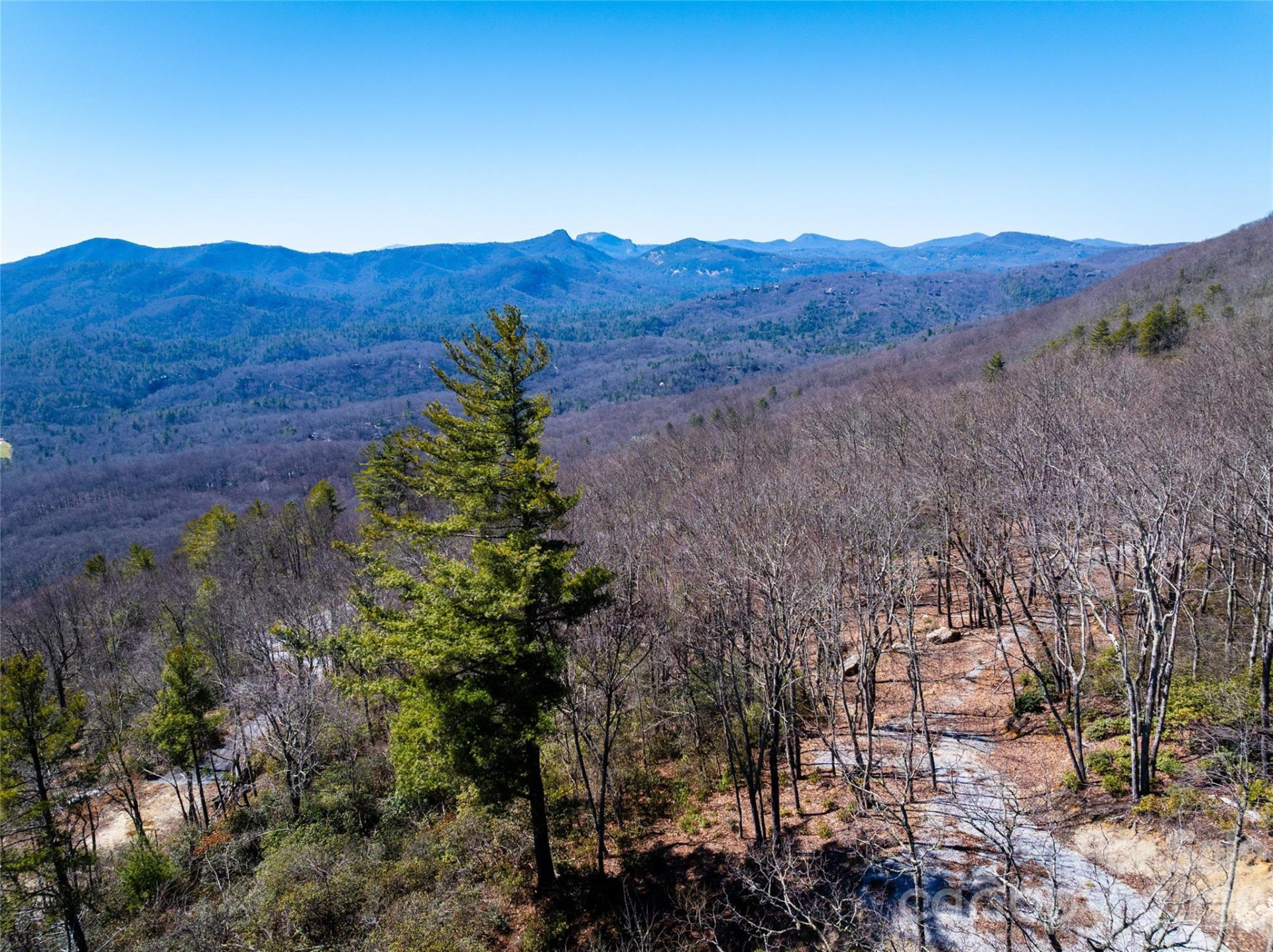 Lot 19 Whitetail Drive - Photo 16