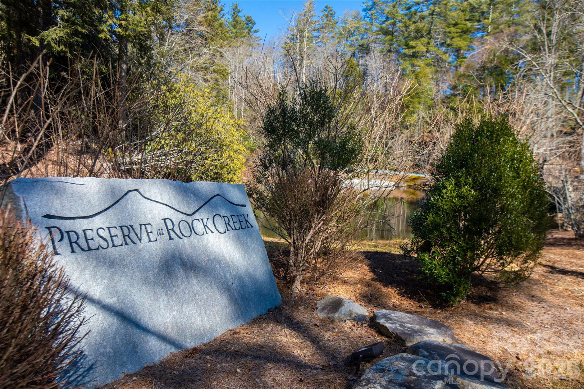 Lot 19 Whitetail Drive - Photo 25