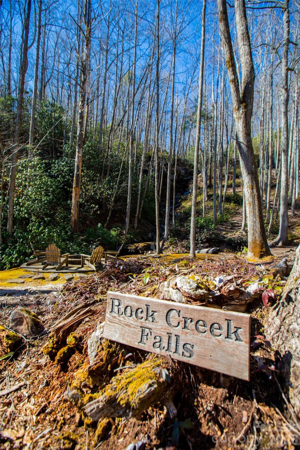 Lot 19 Whitetail Drive - Photo 26