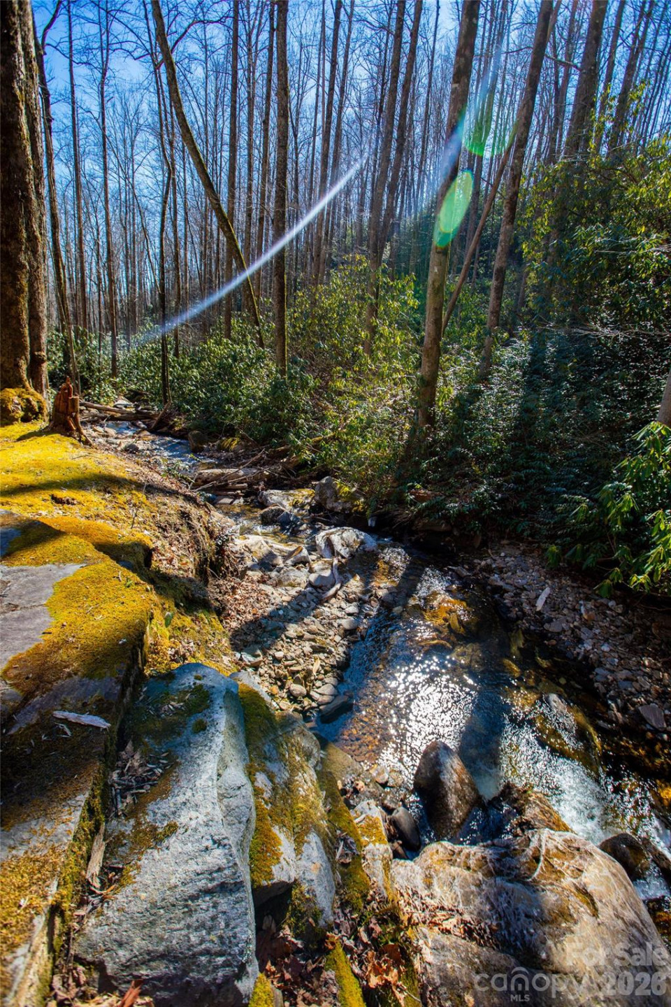 Lot 19 Whitetail Drive - Photo 28