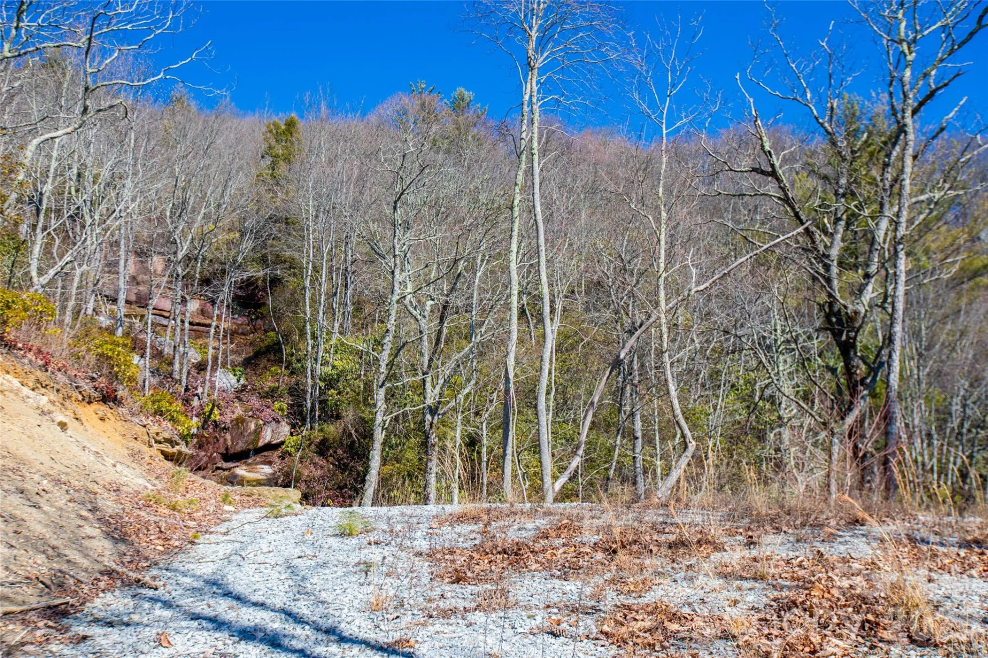 Lot 19 Whitetail Drive - Photo 6