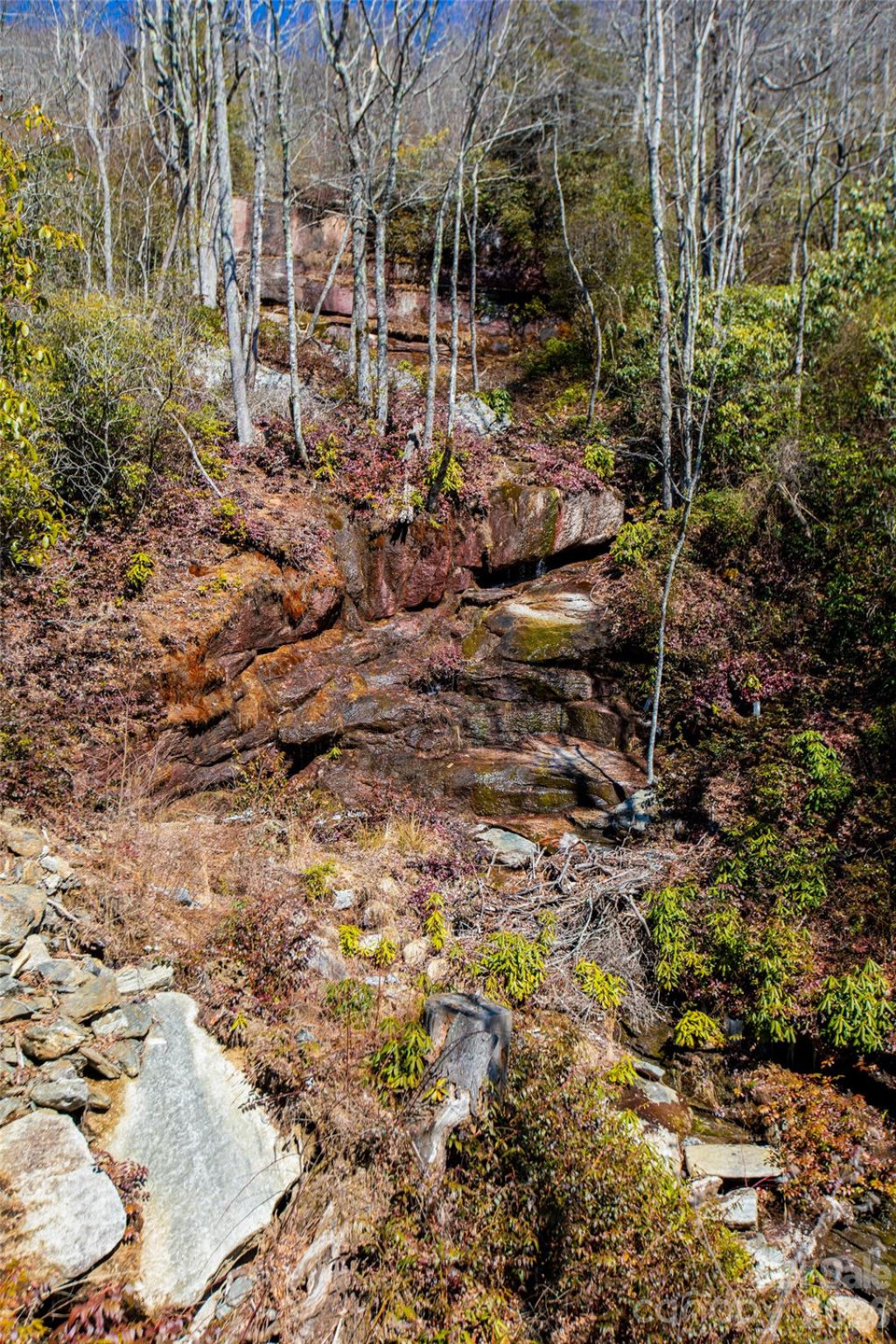 Lot 19 Whitetail Drive - Photo 7