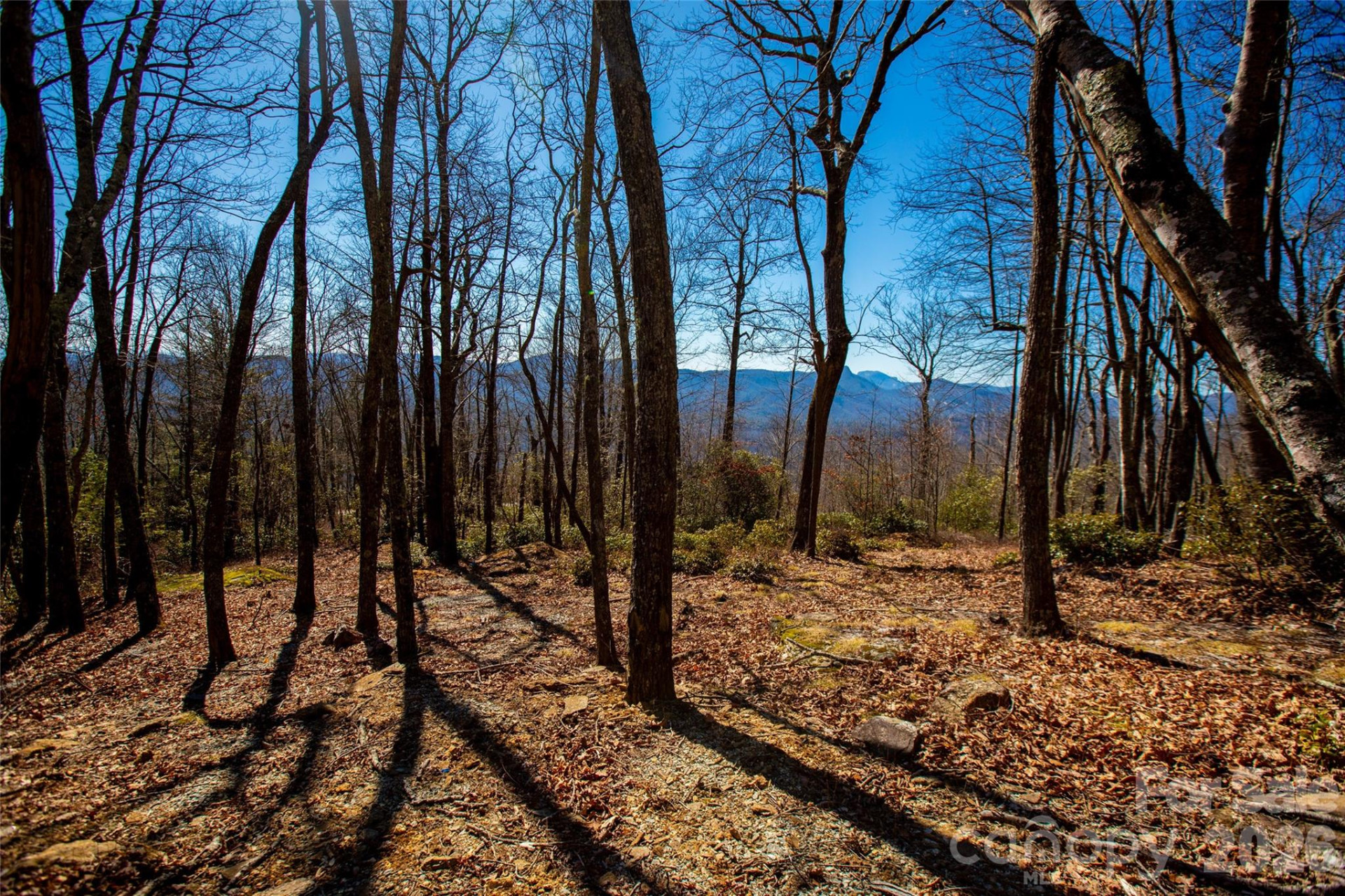 Lot 19 Whitetail Drive - Photo 8